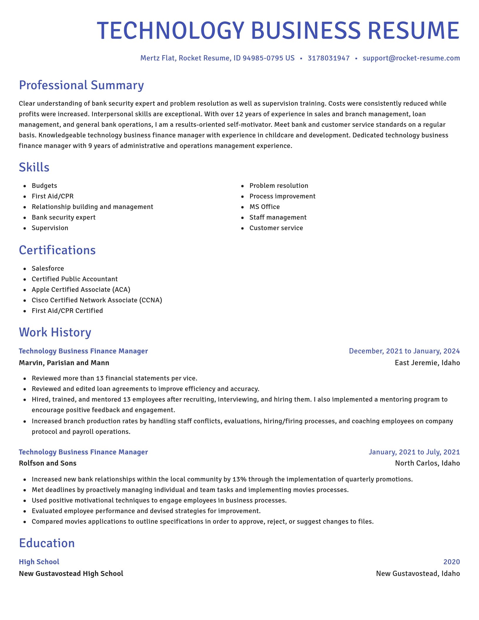 Novel resume template