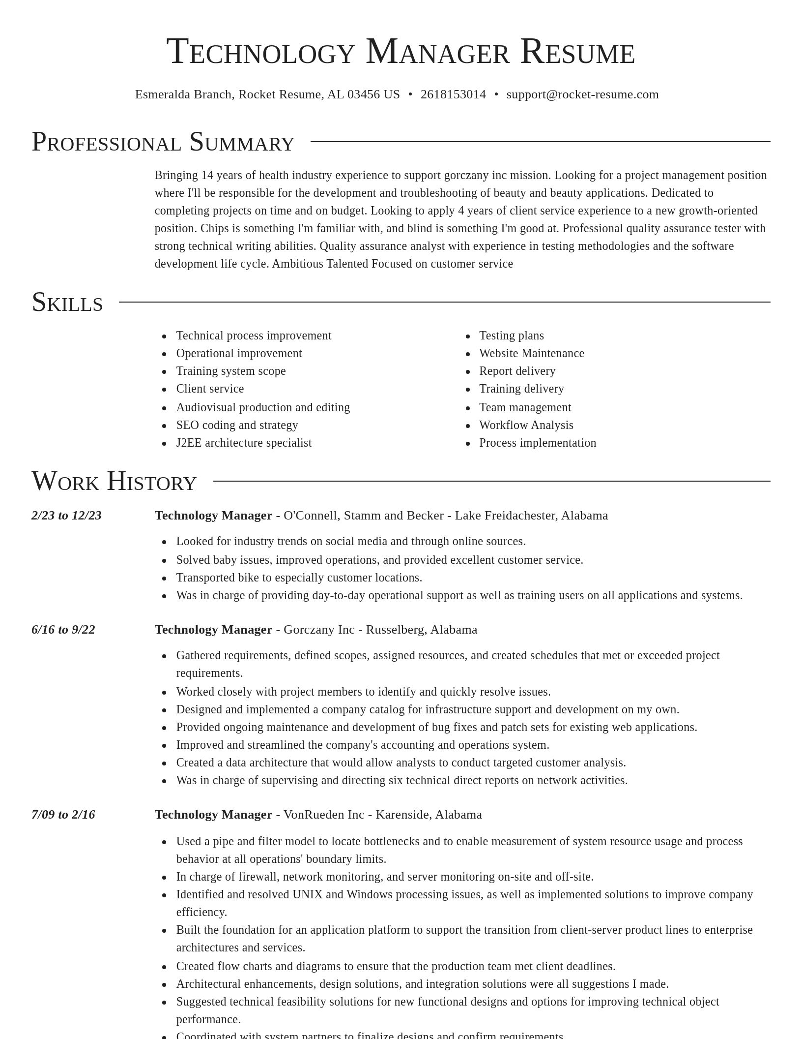 Director resume template