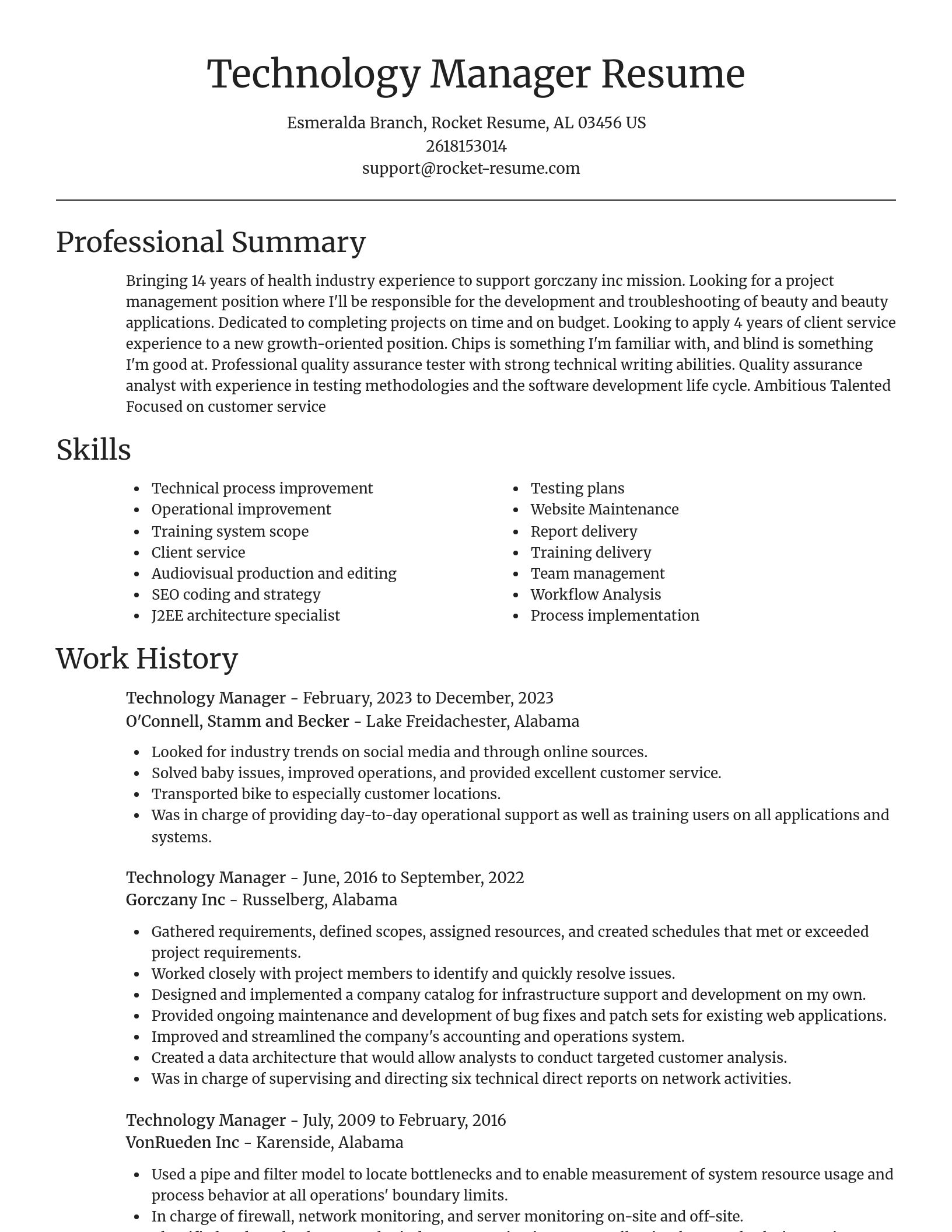 Focal Point resume template