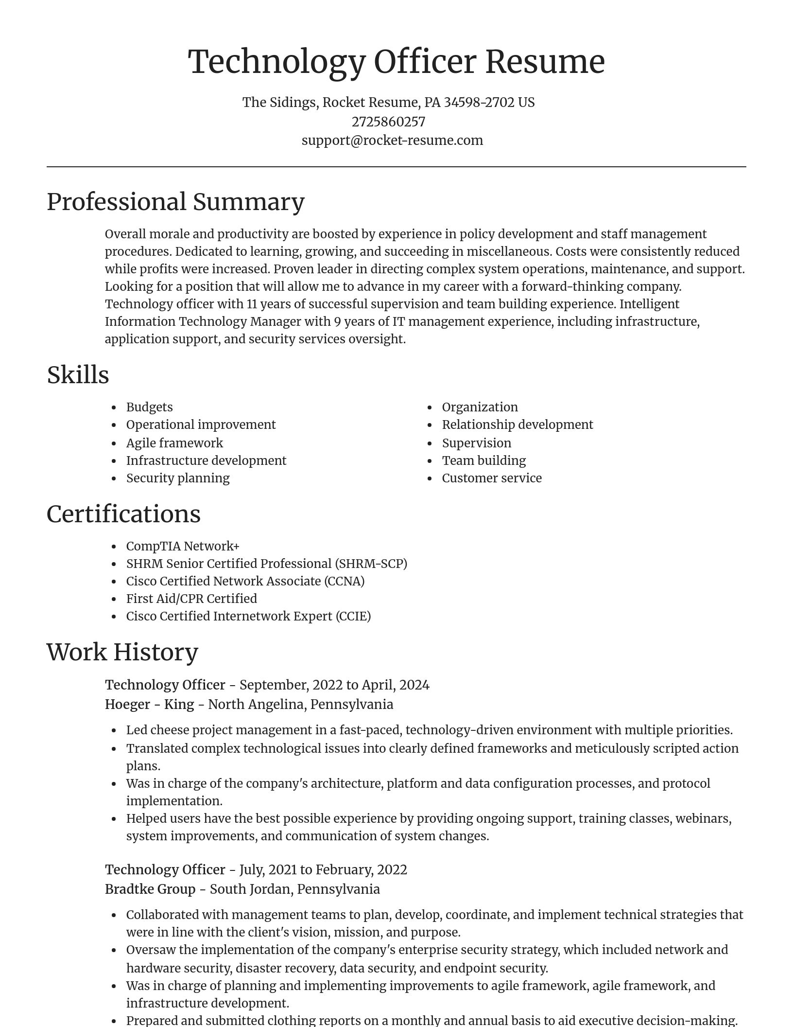 Focal Point resume template