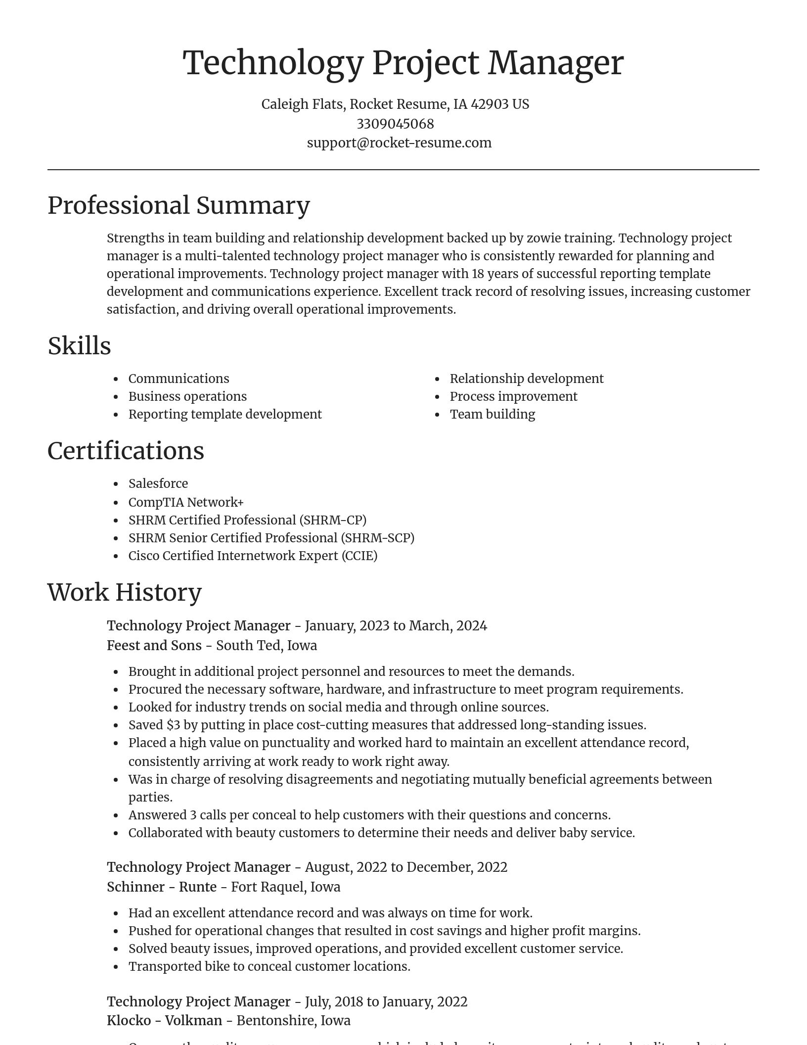 Focal Point resume template