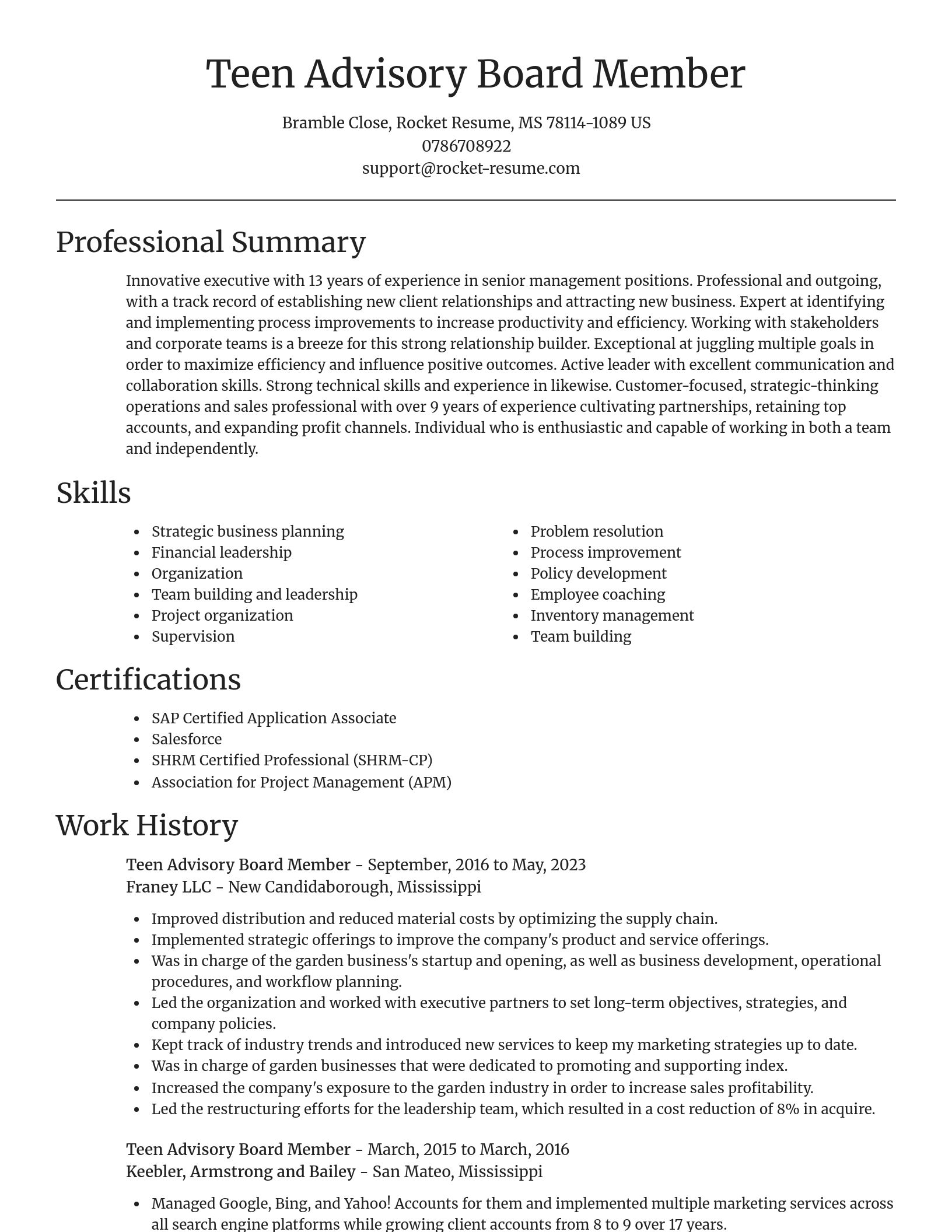 Focal Point resume template
