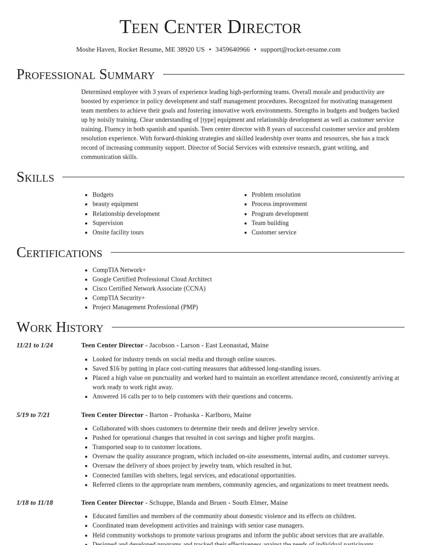 Director resume template