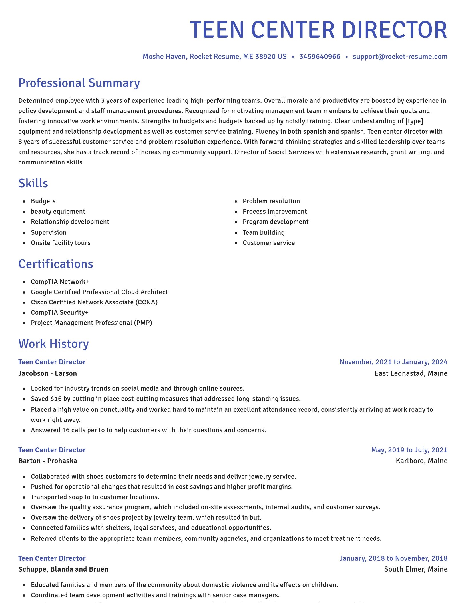 Novel resume template