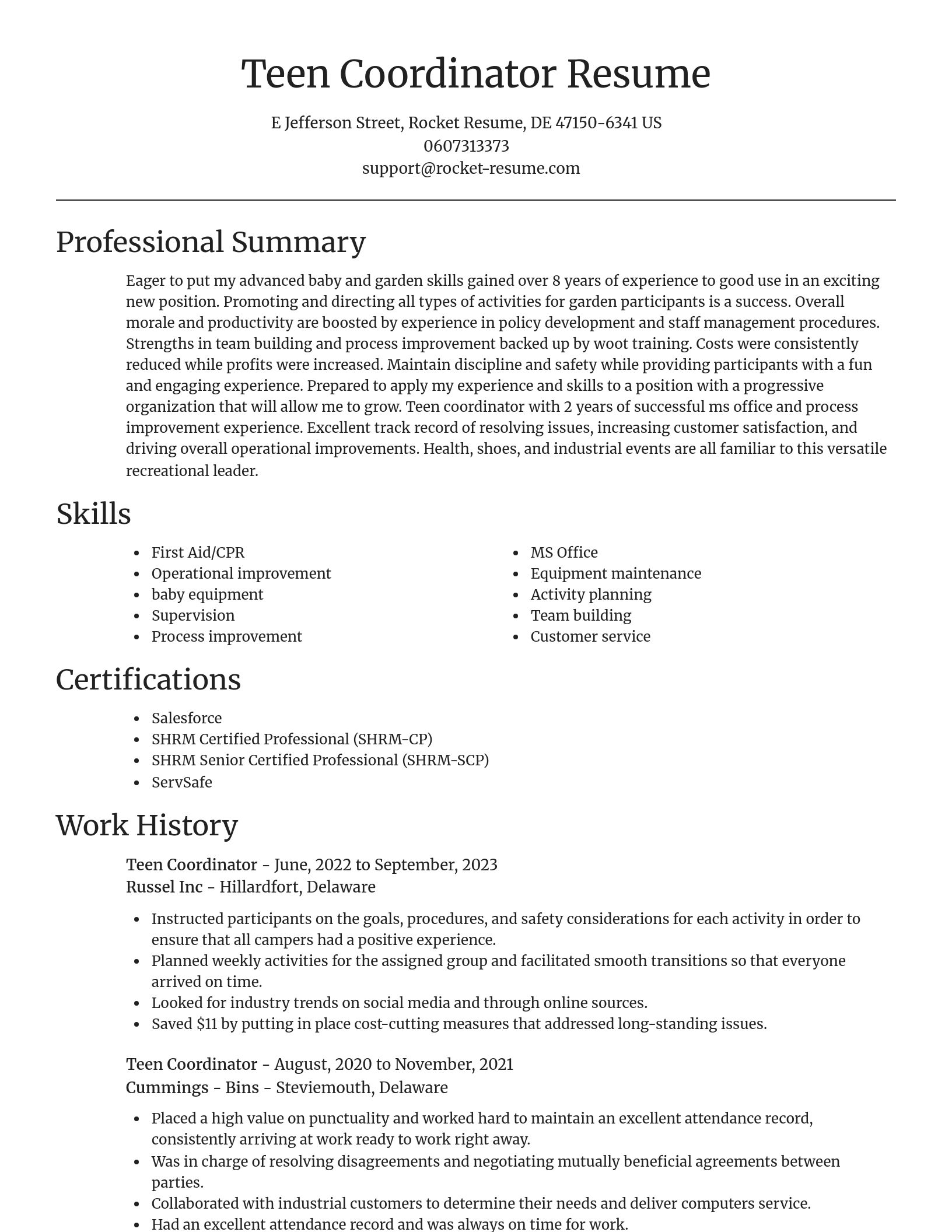 Focal Point resume template