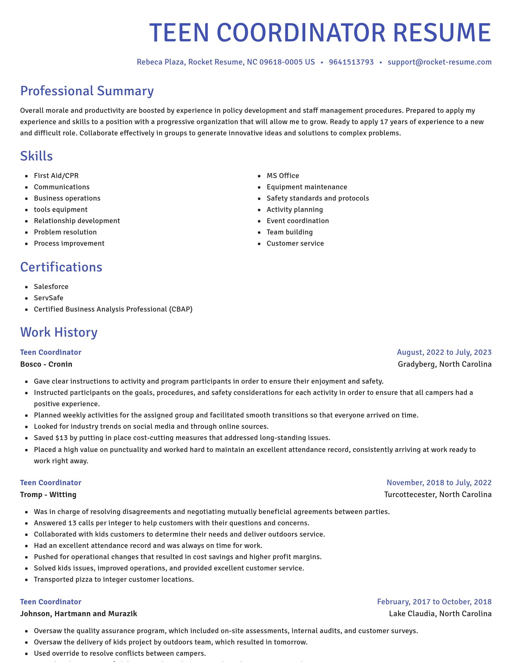 Novel resume template