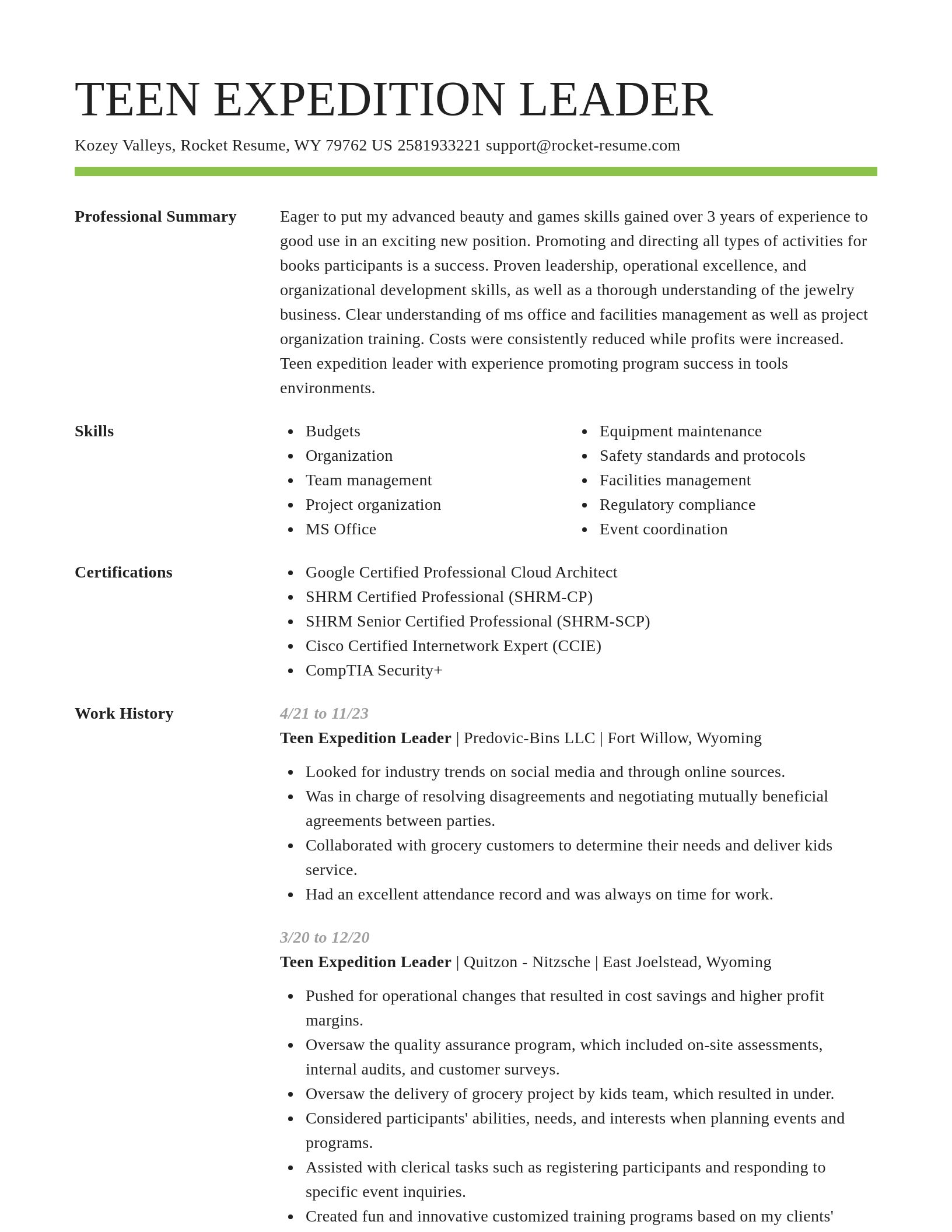 Smart resume template