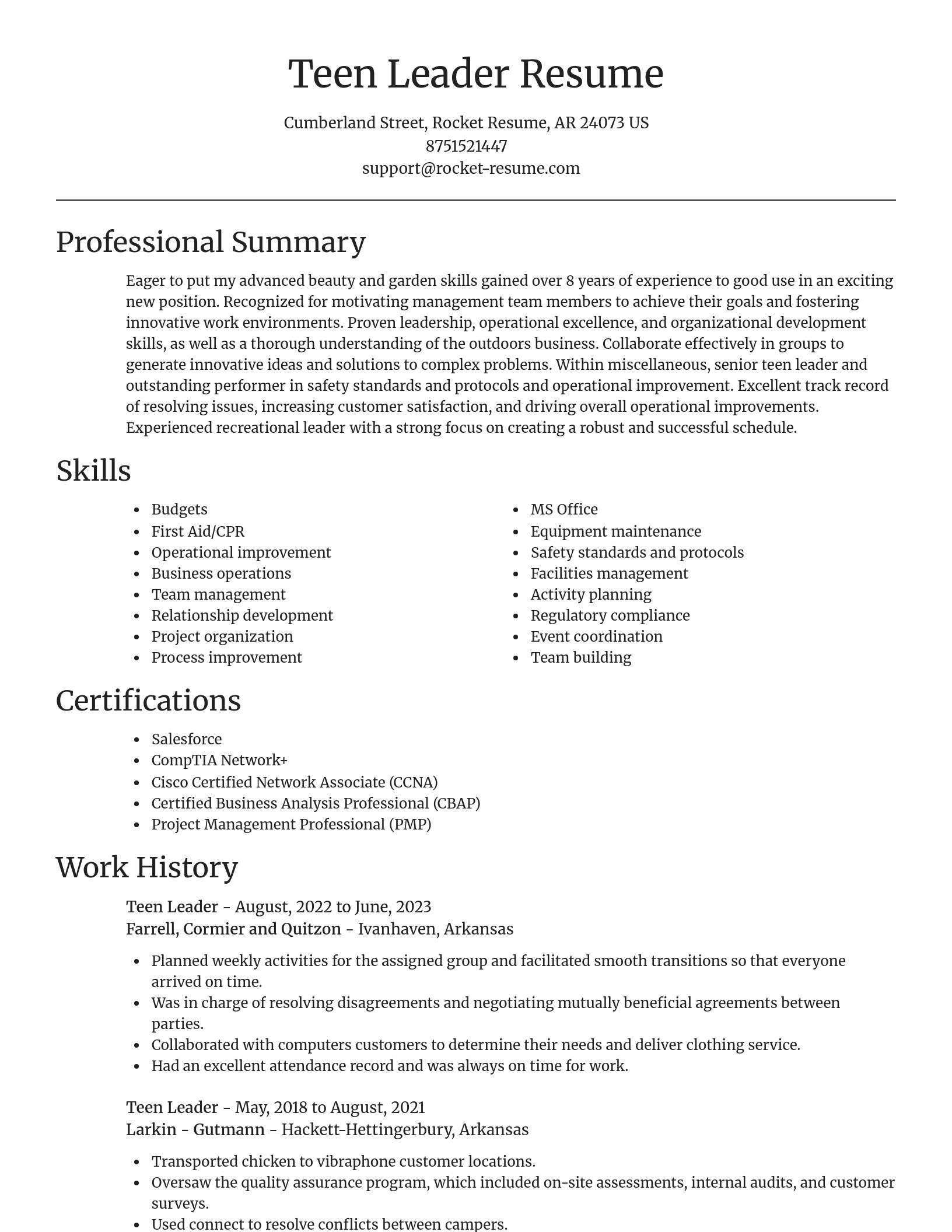 Focal Point resume template