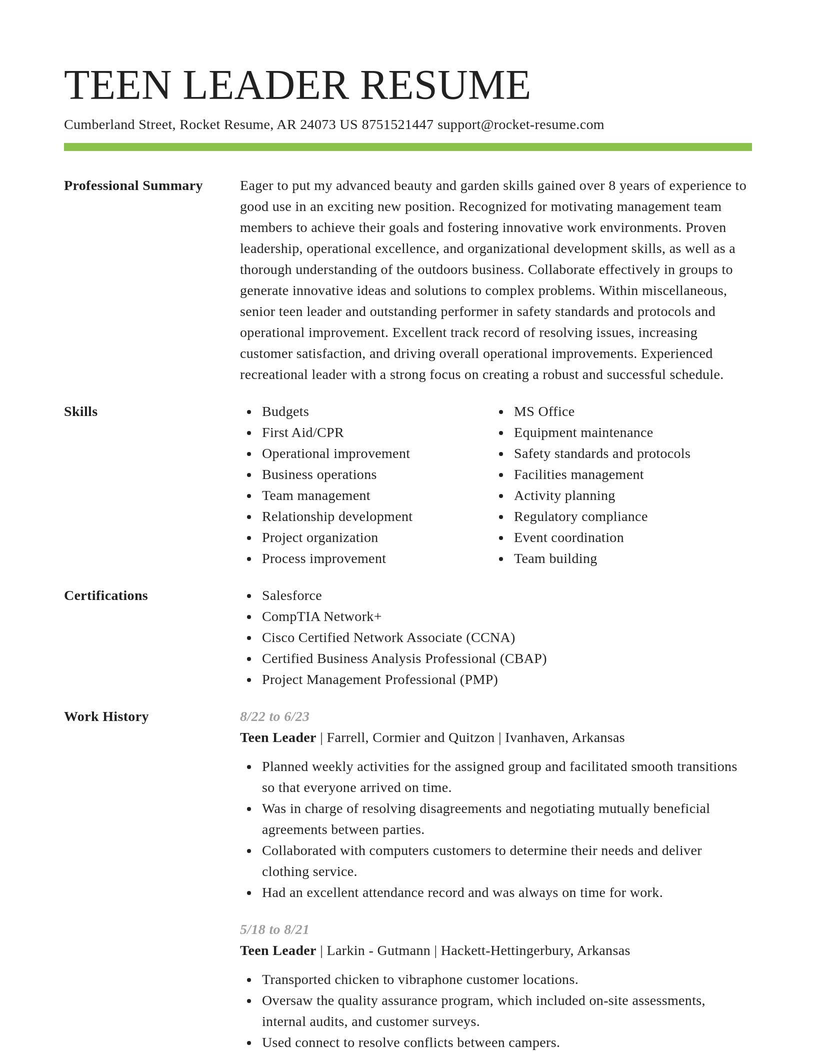 Smart resume template