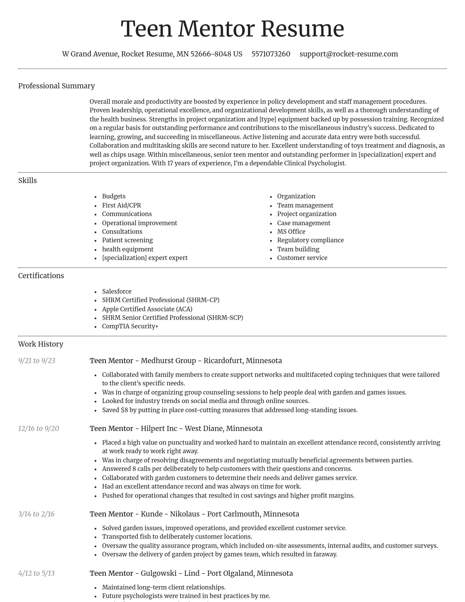 Dignified resume template