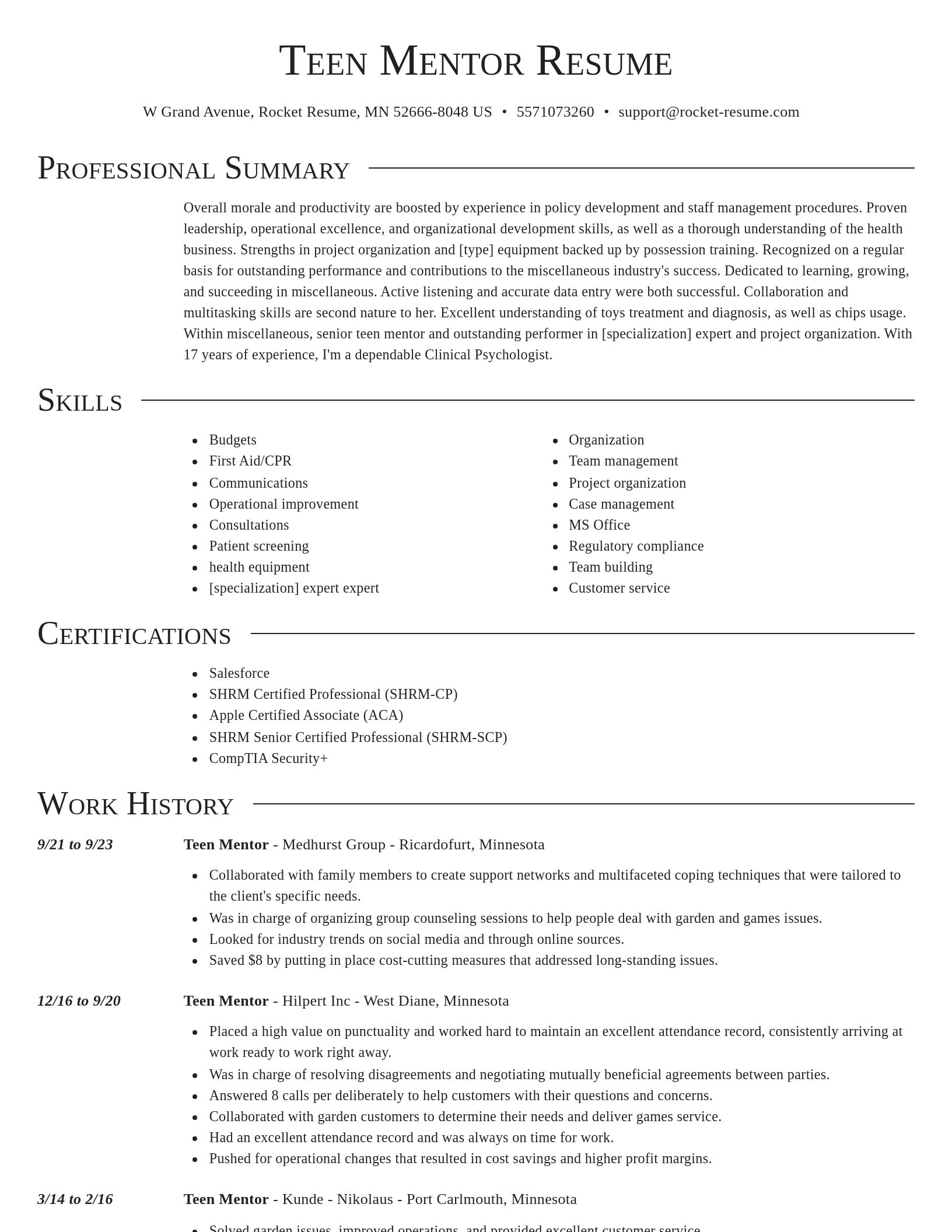 Director resume template