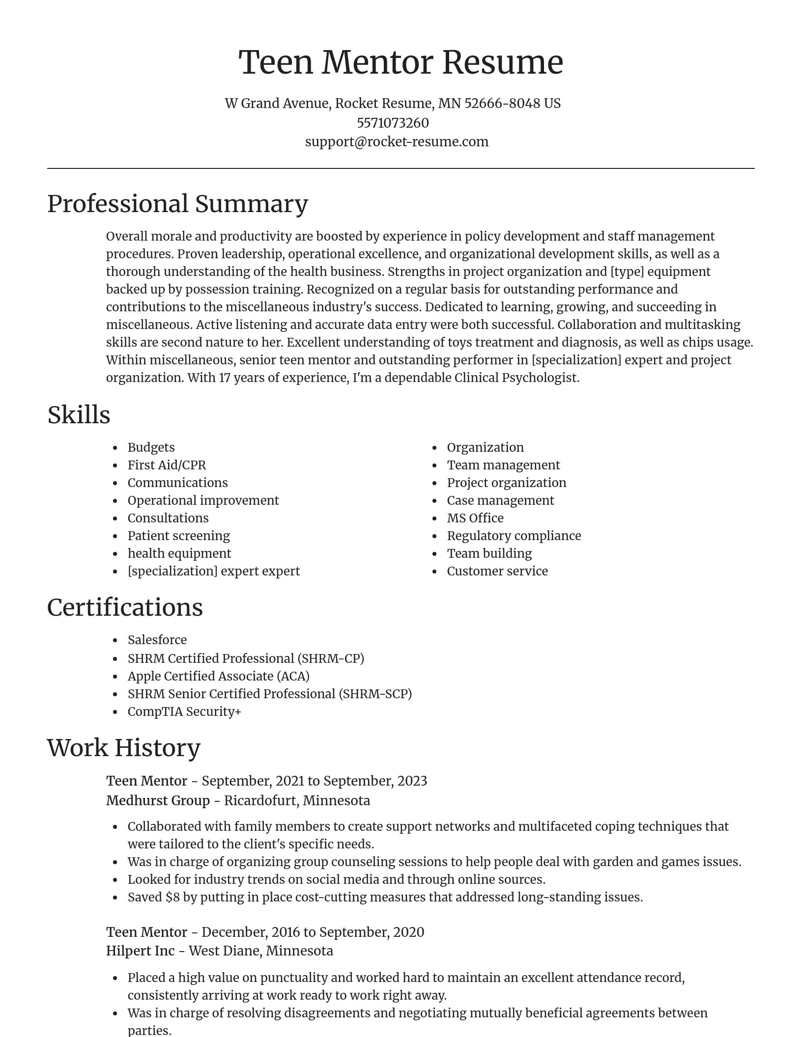 Focal Point resume template