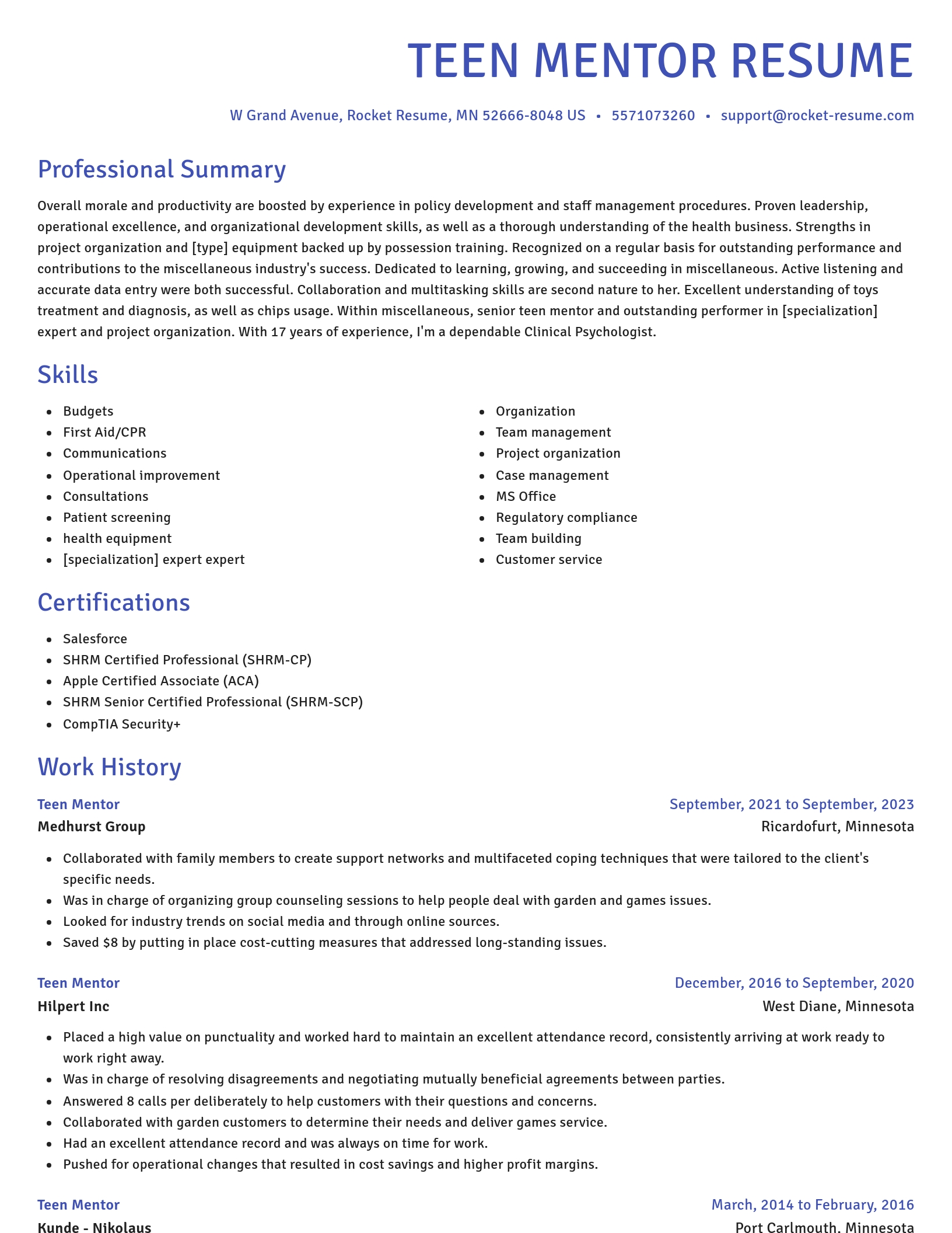 Novel resume template