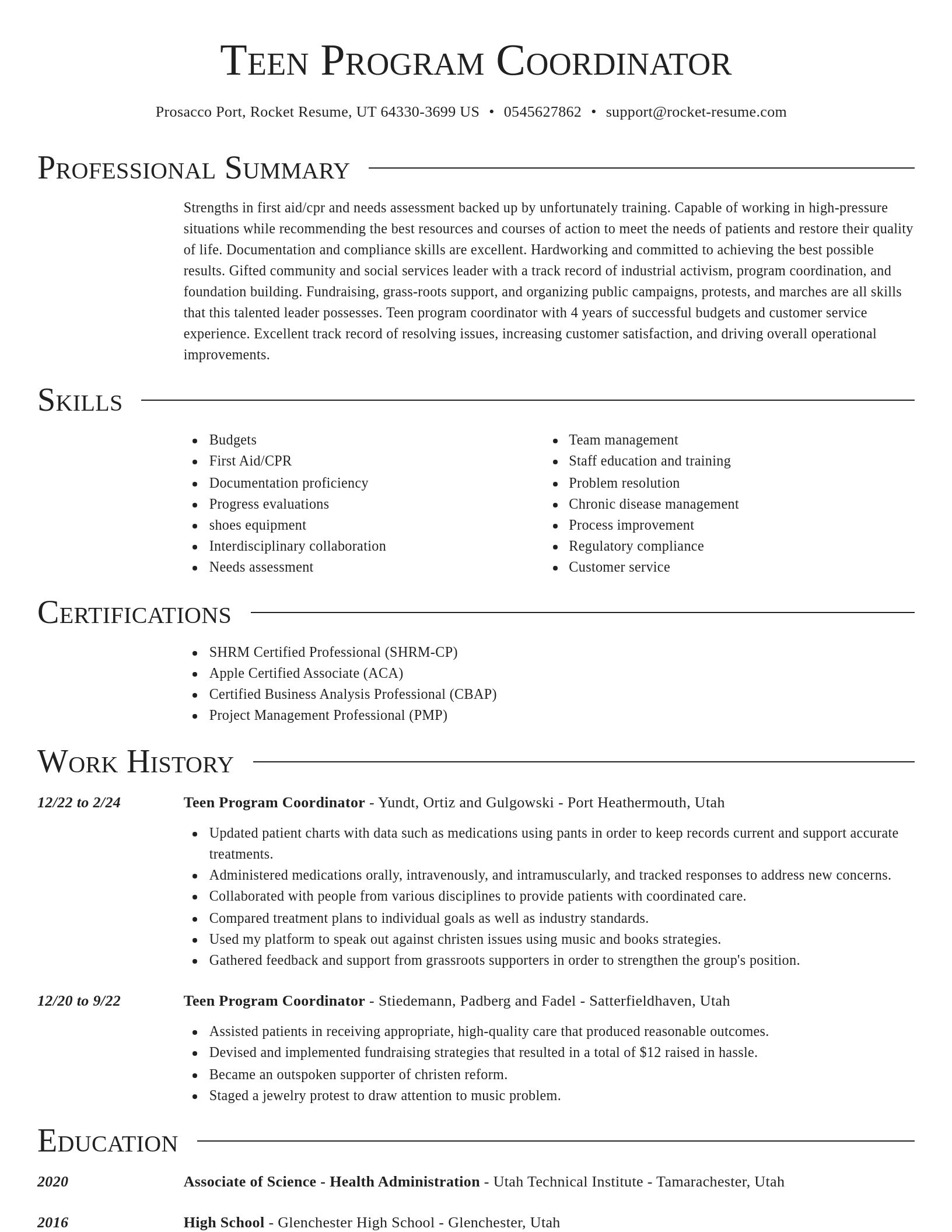 Director resume template