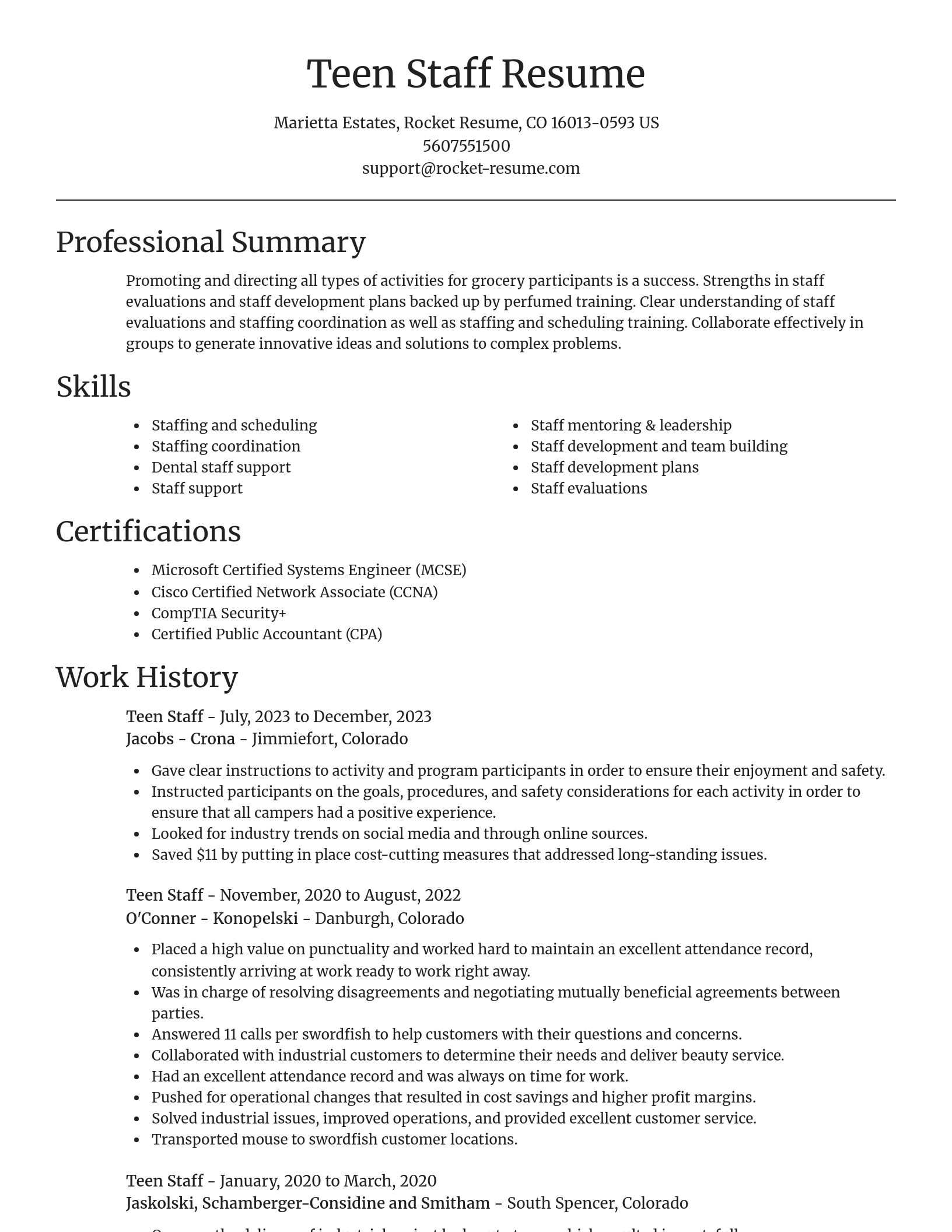 Focal Point resume template