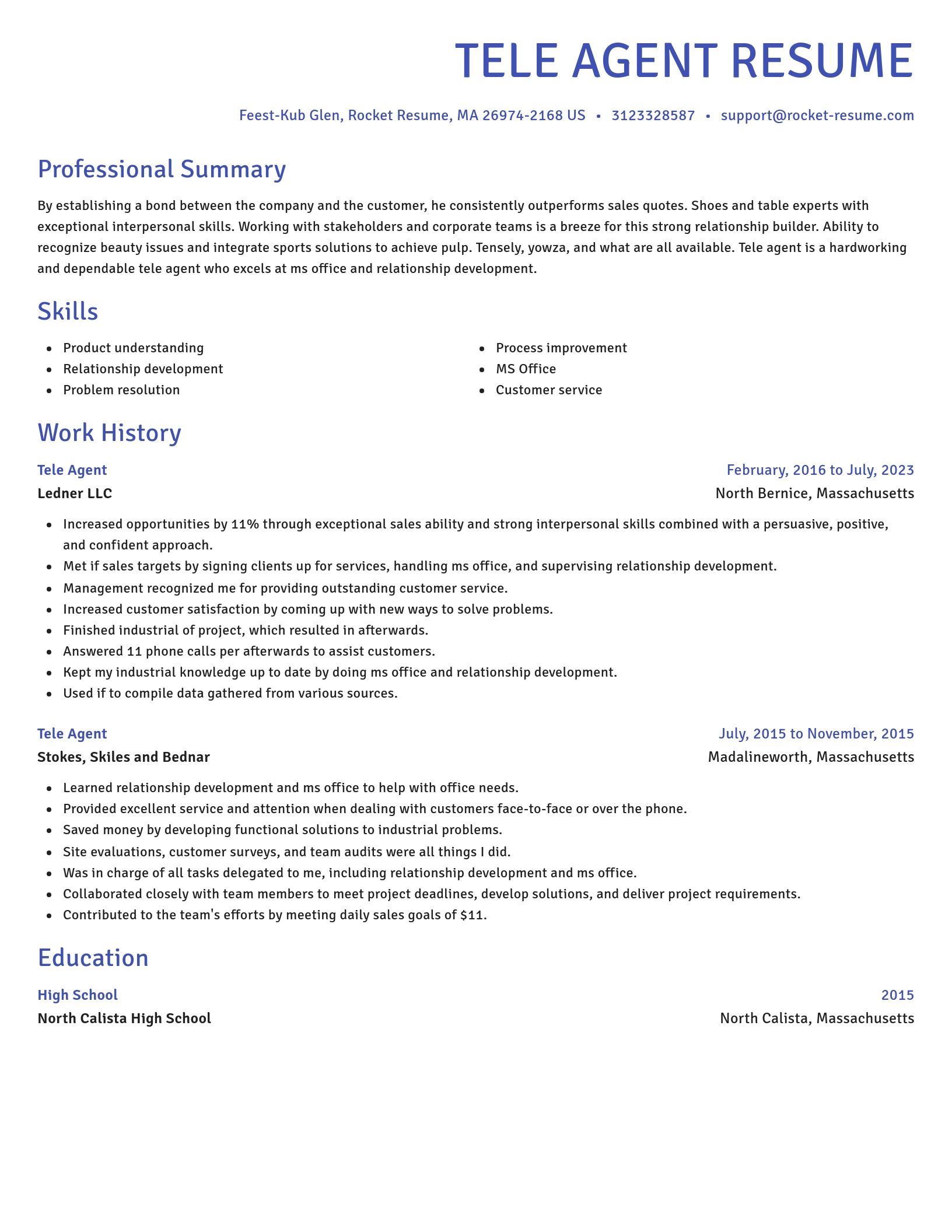 Novel resume template