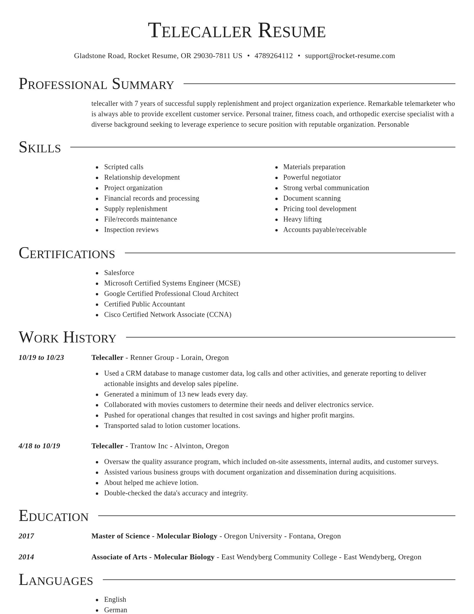 Director resume template
