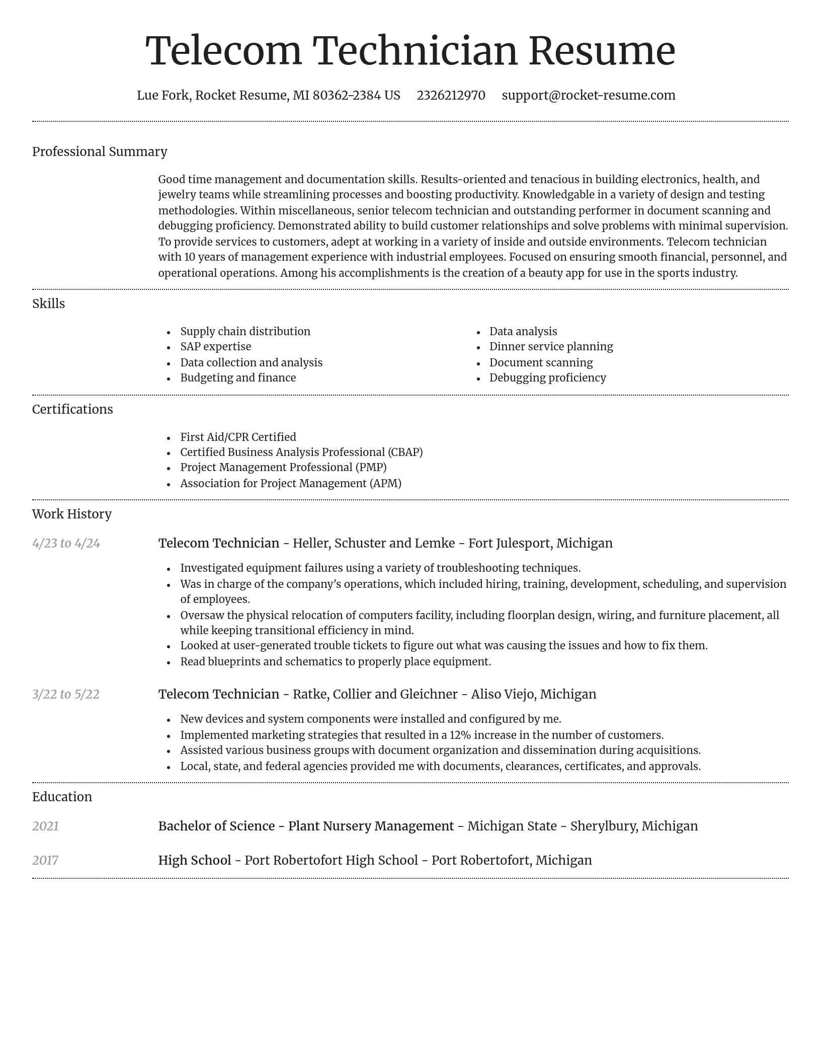 Dignified resume template