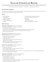 Telecom Tower Lead Technician resume template