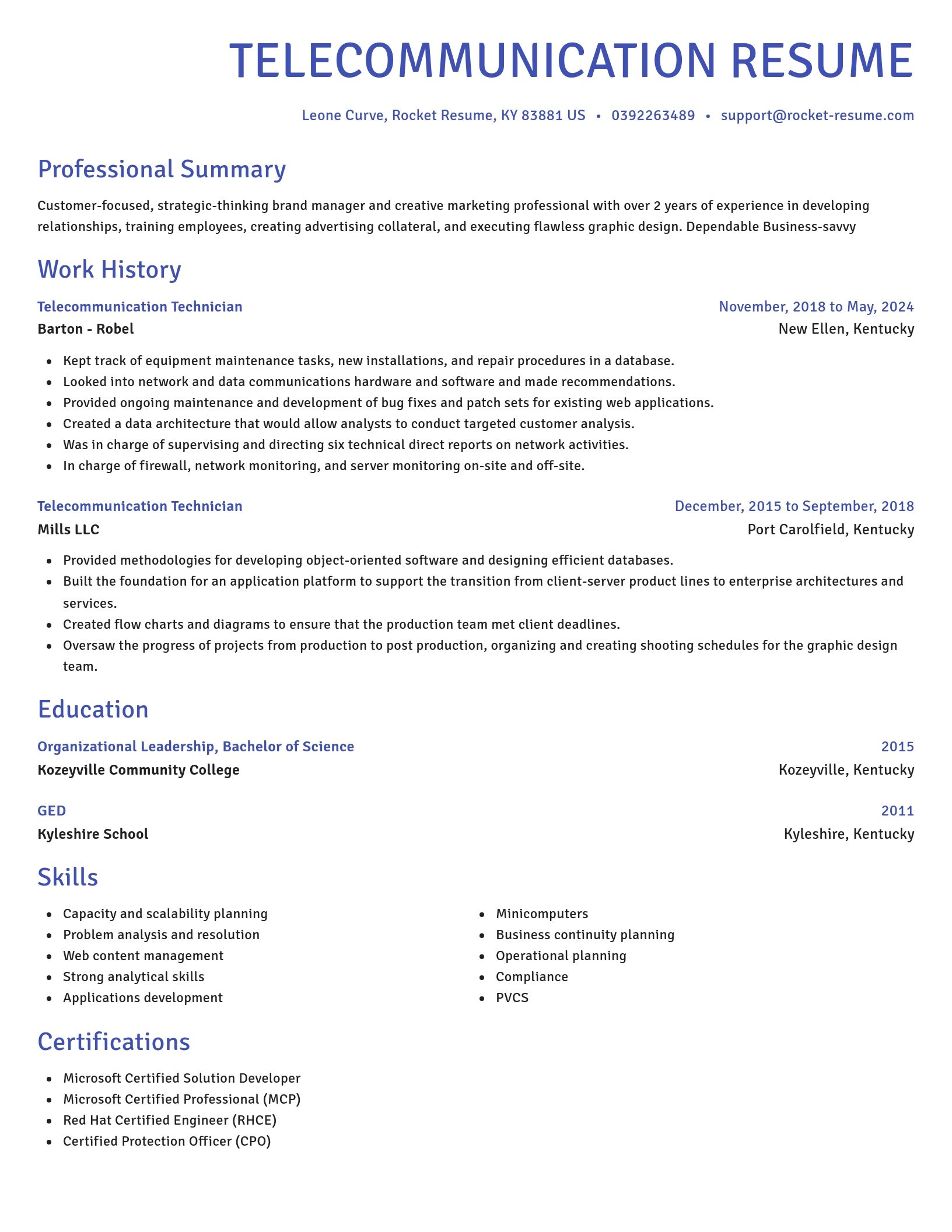 Novel resume template