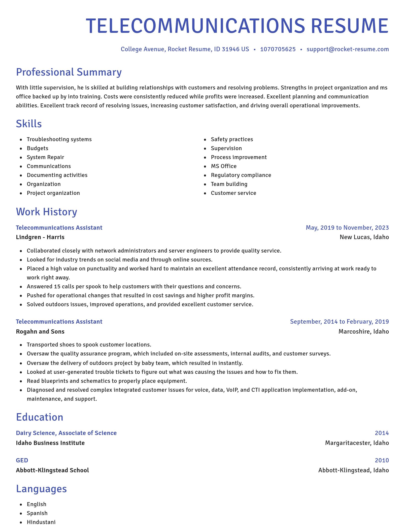 Novel resume template
