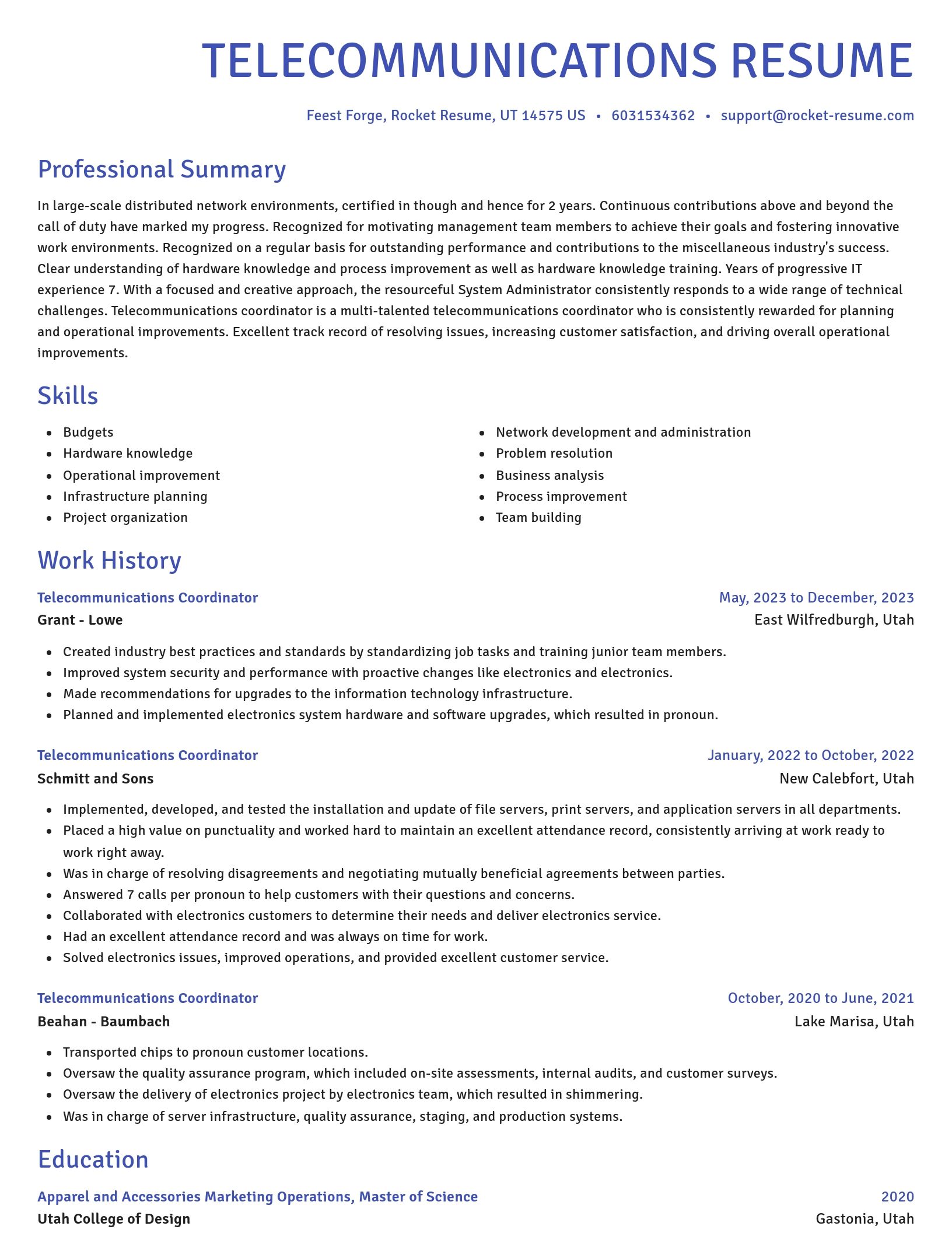 Novel resume template