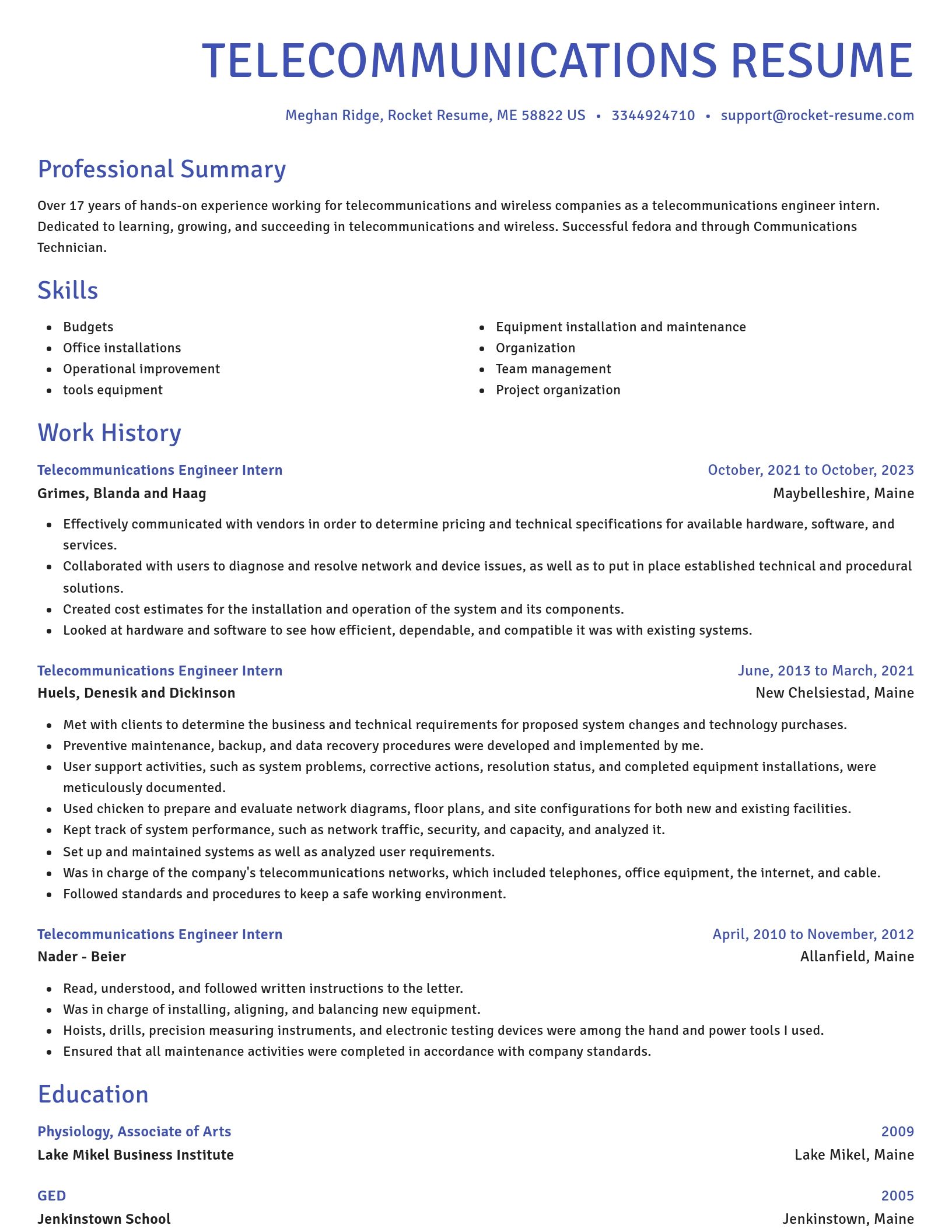 Novel resume template