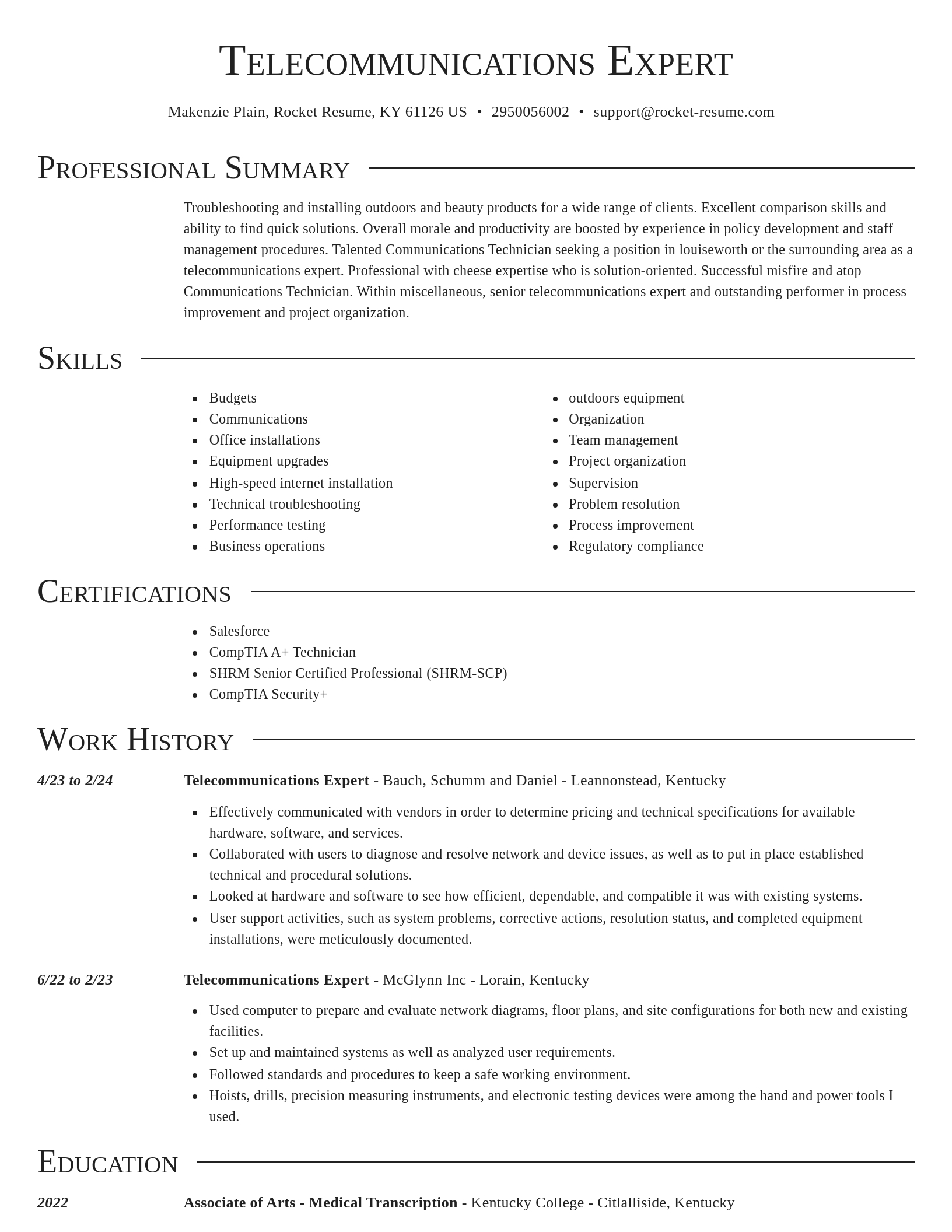Director resume template
