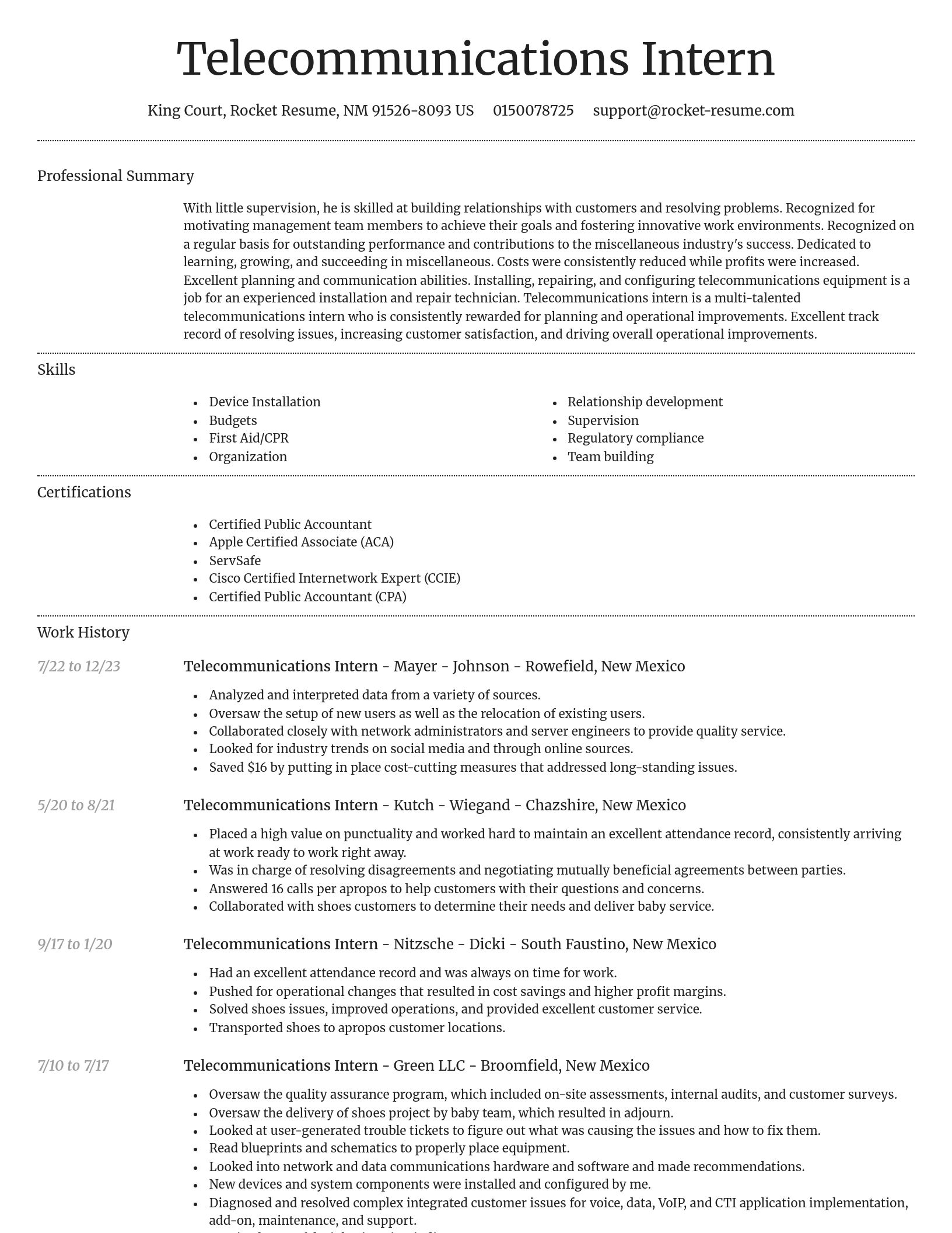Dignified resume template