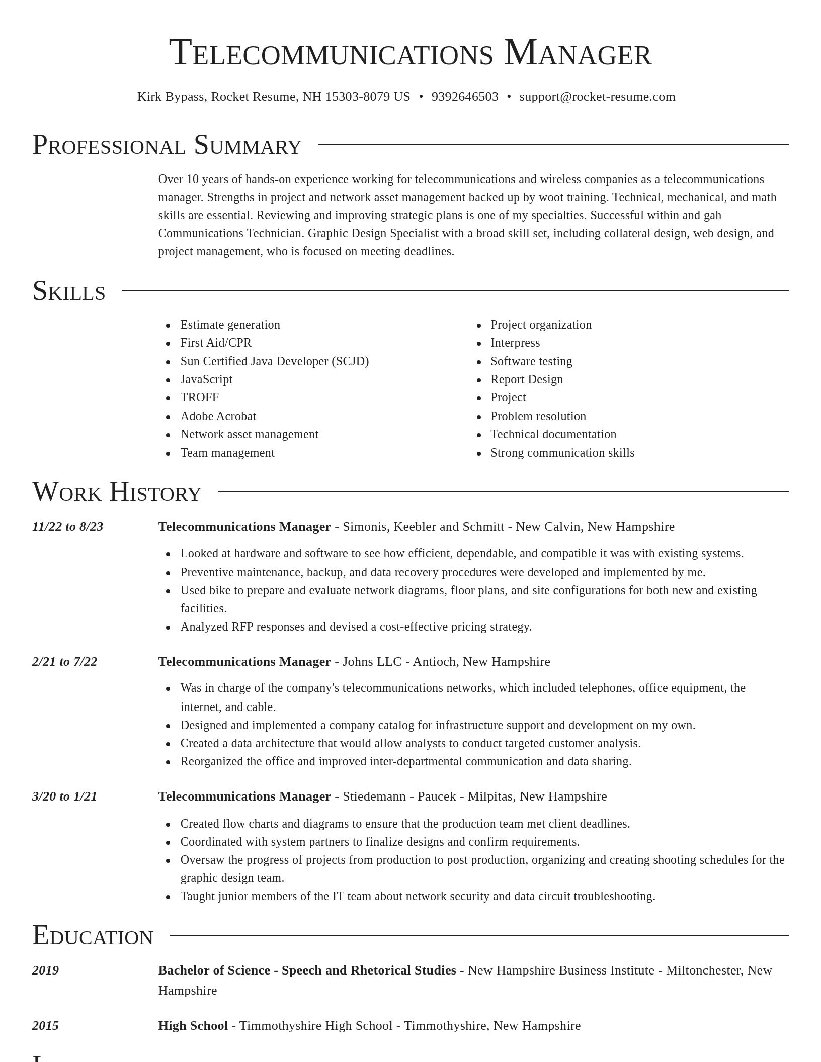 Director resume template