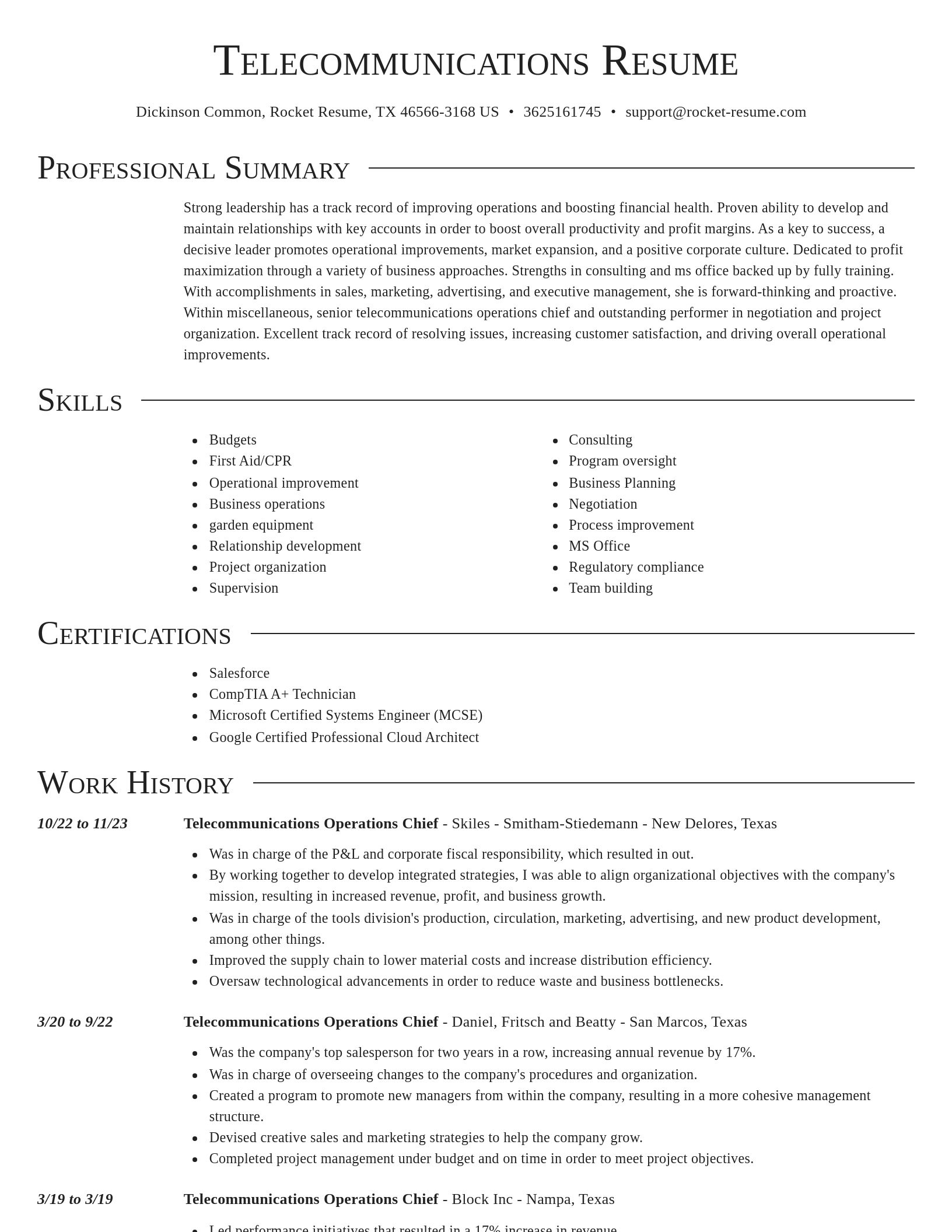 Director resume template