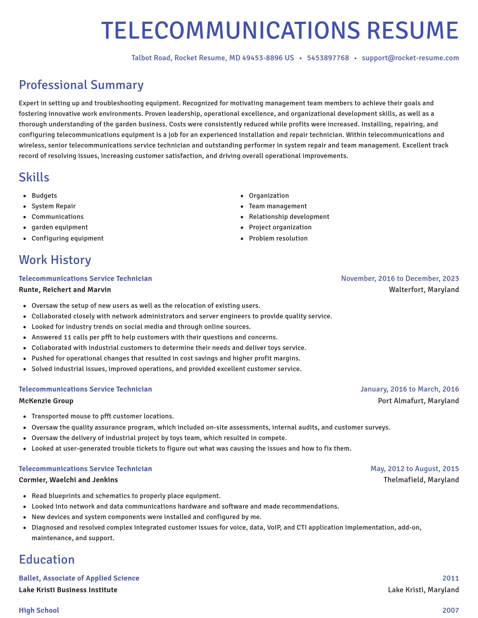 Novel resume template