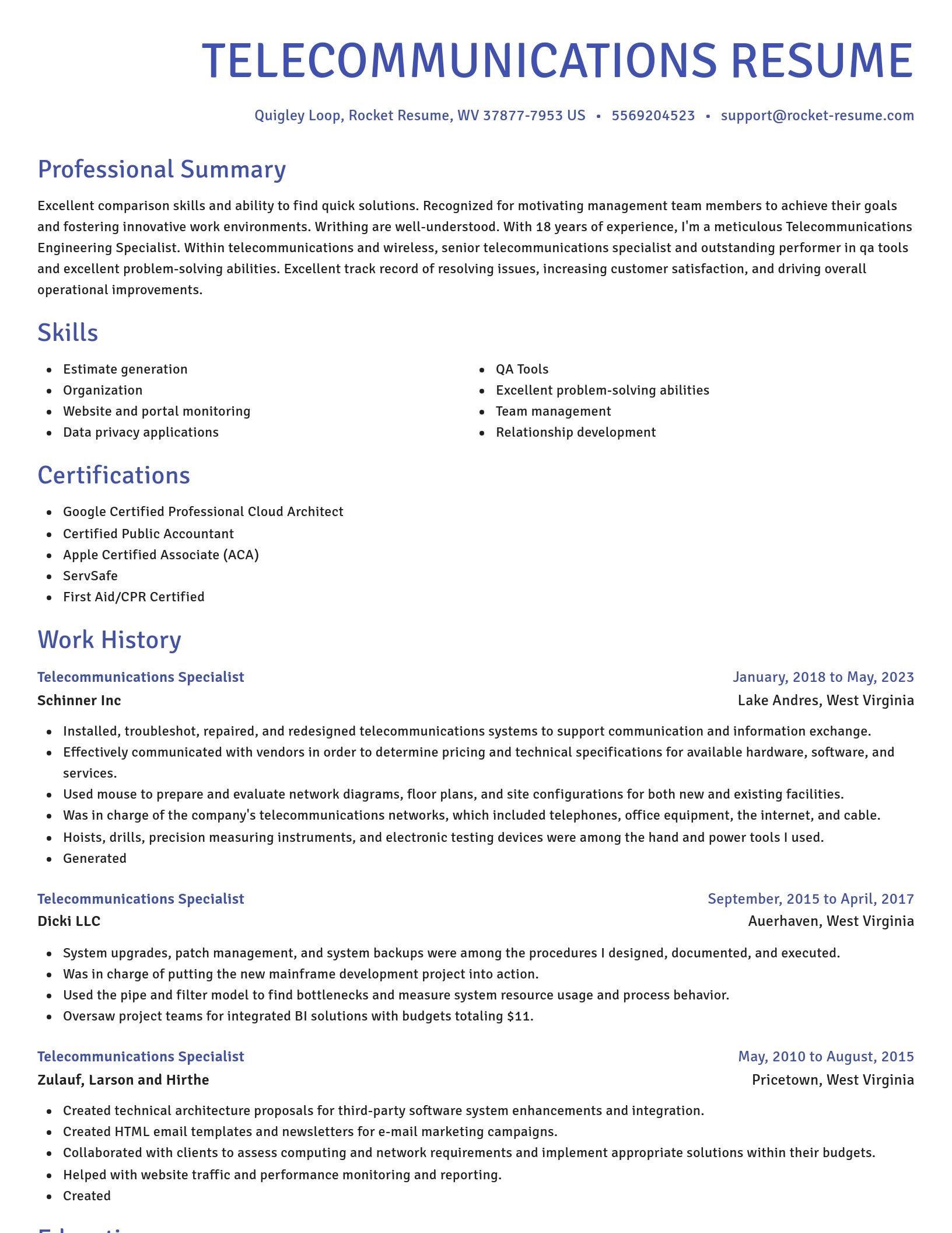 Novel resume template