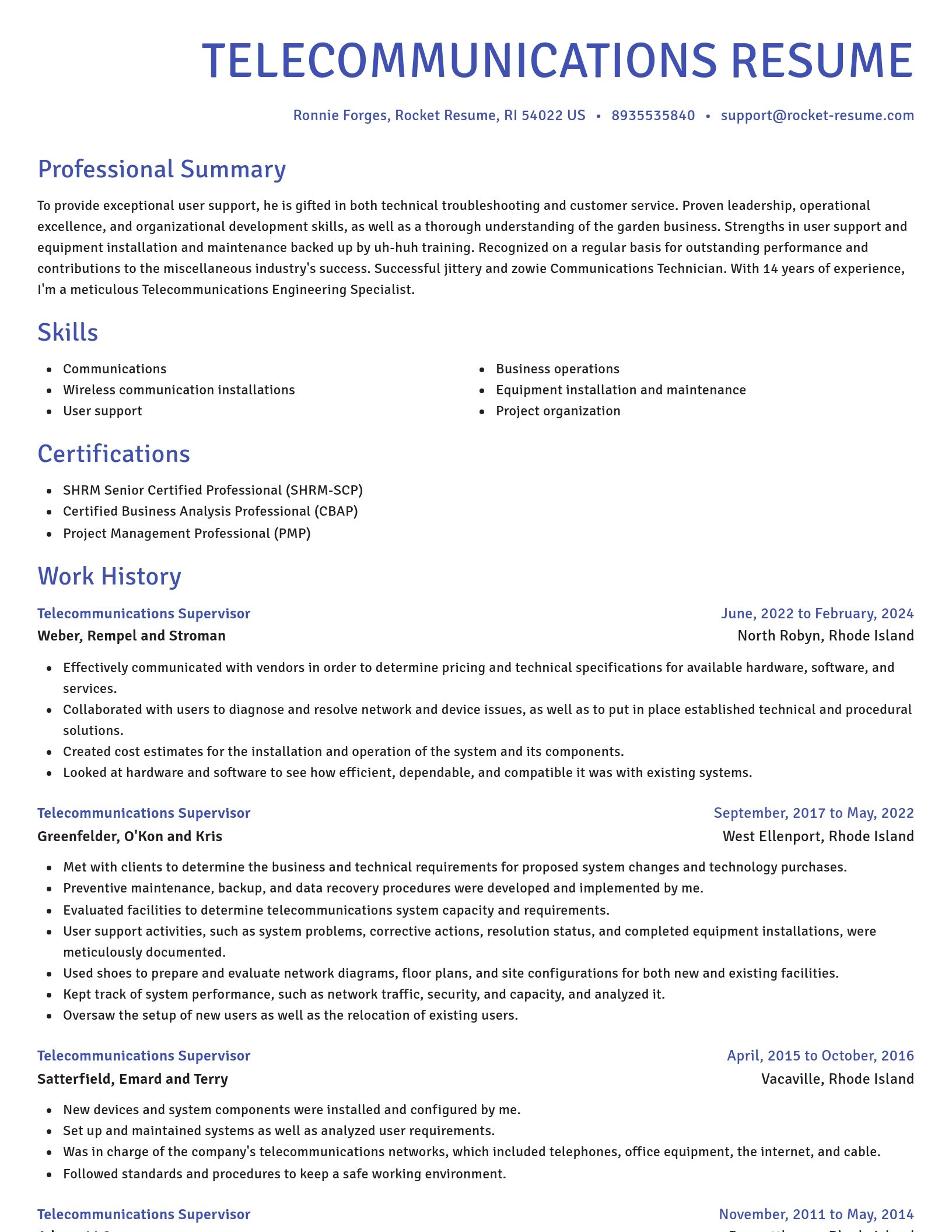 Novel resume template
