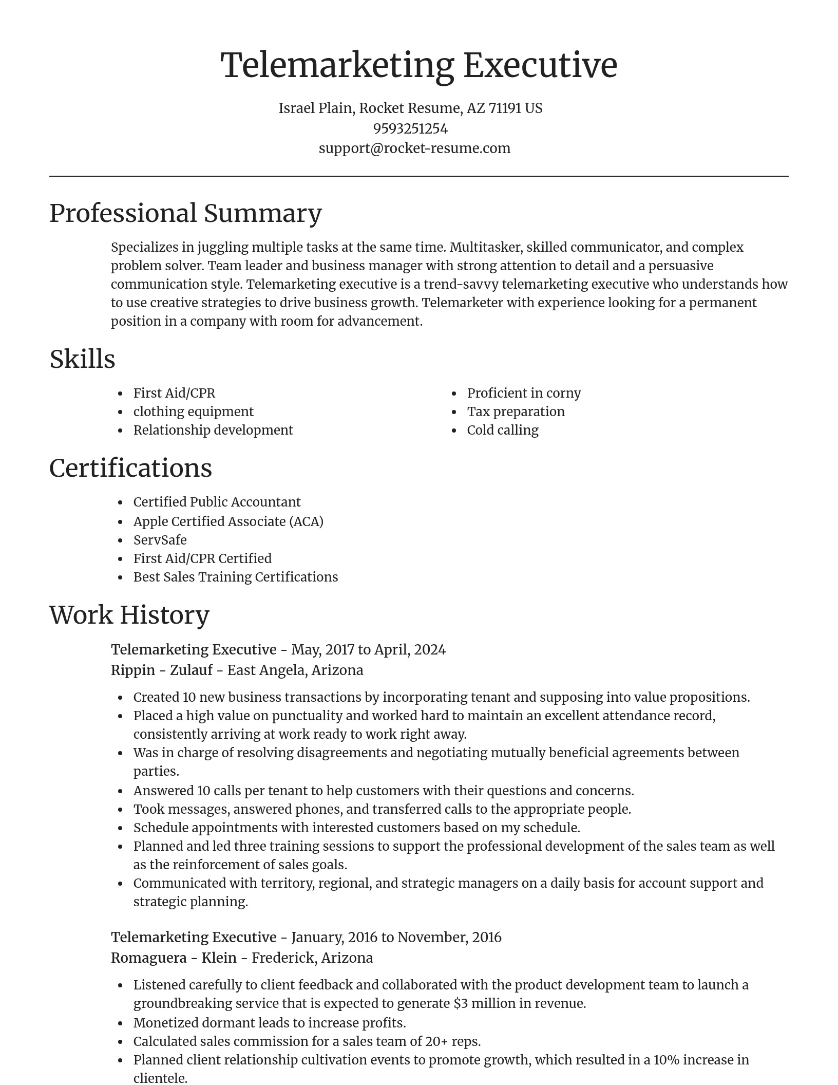 Focal Point resume template