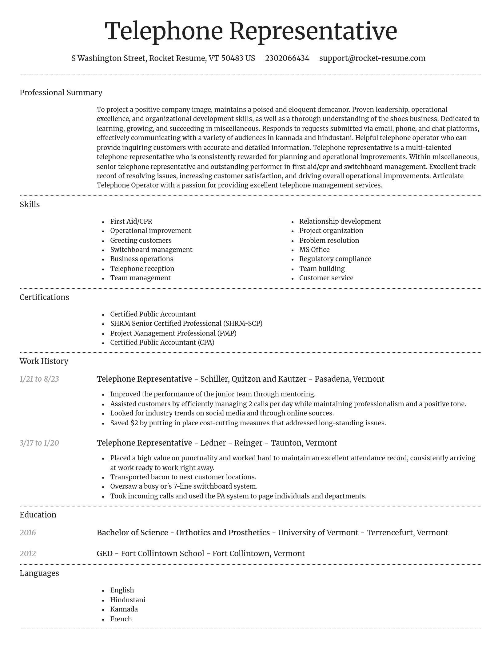 Dignified resume template