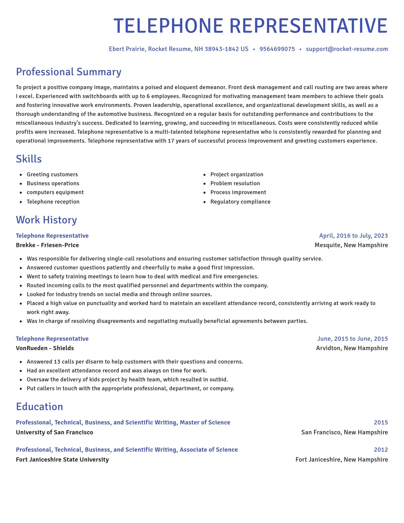 Novel resume template