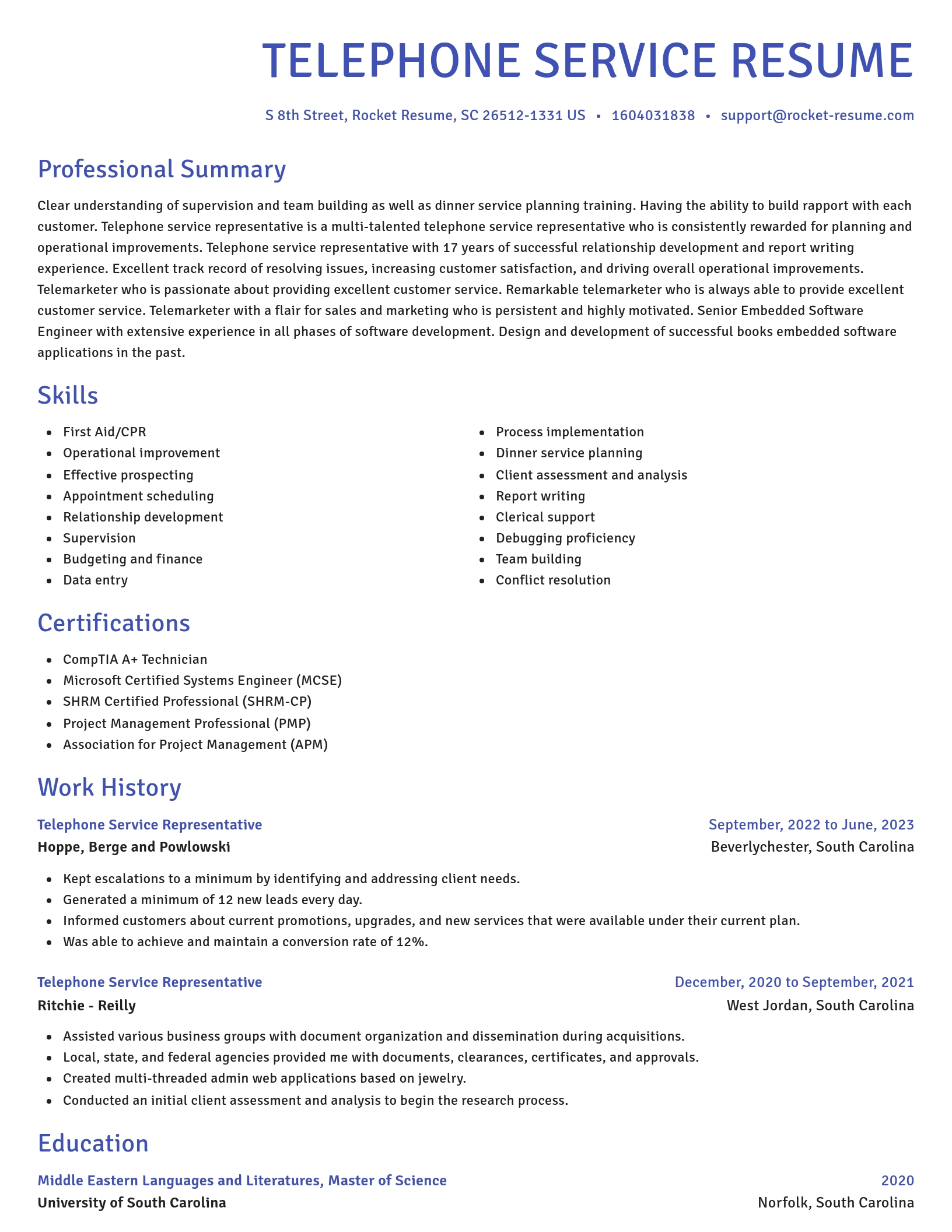 Novel resume template