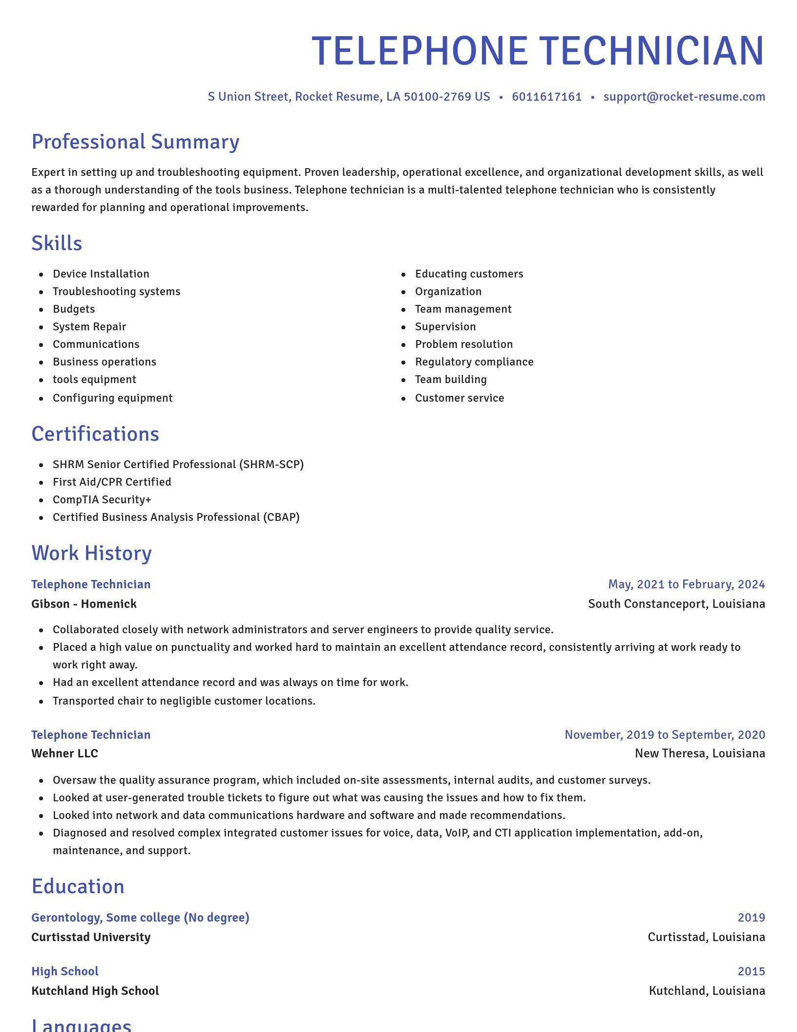 Novel resume template