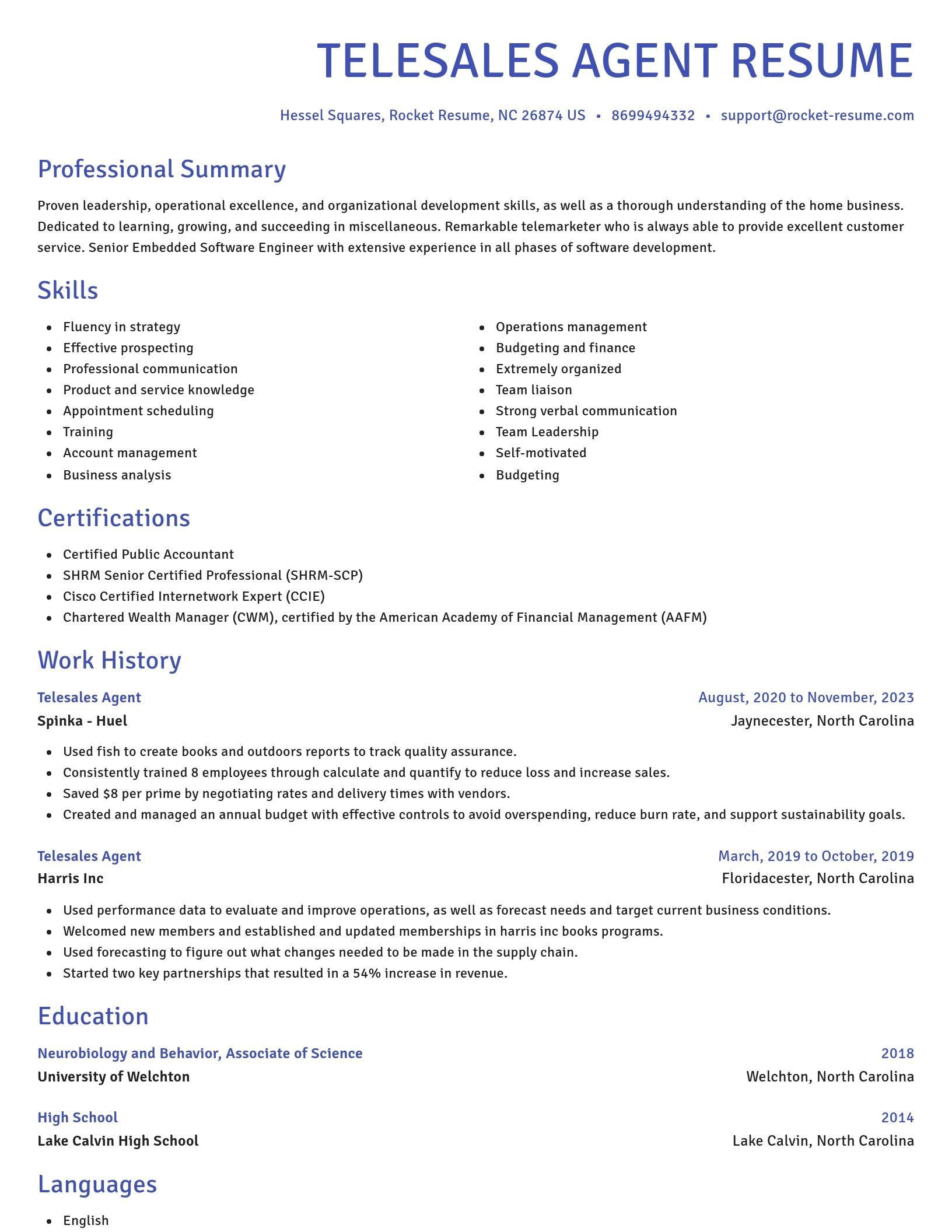 Novel resume template