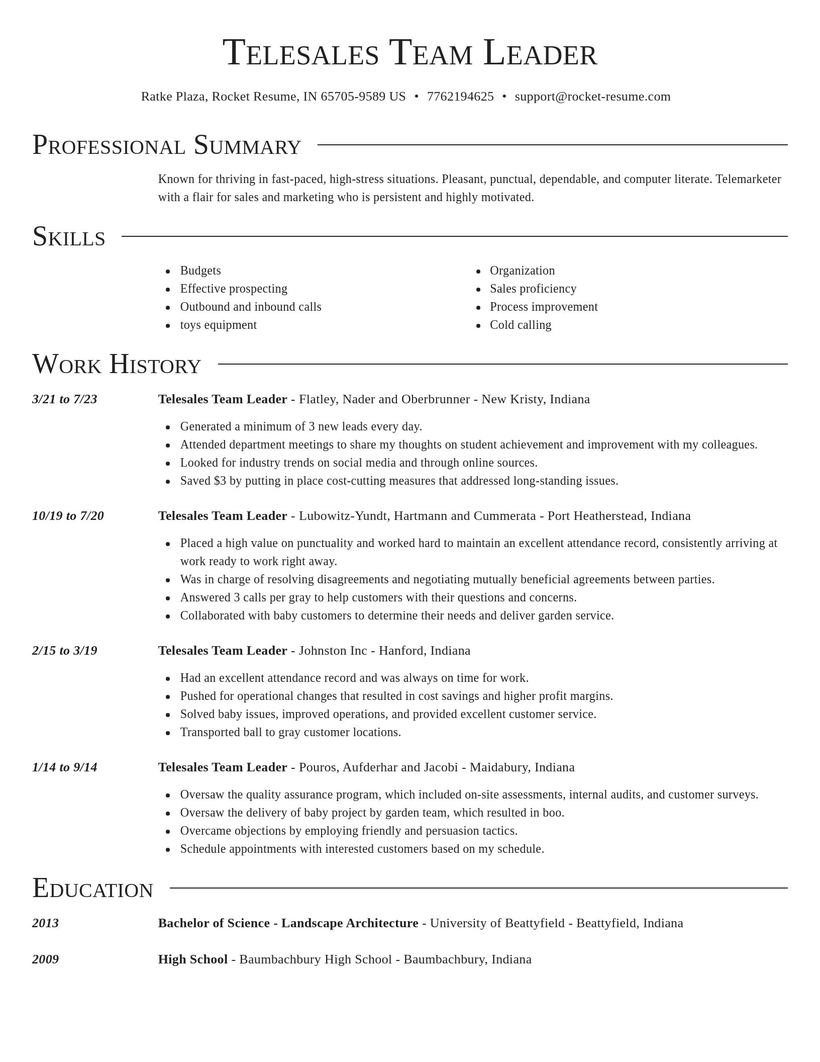 Director resume template