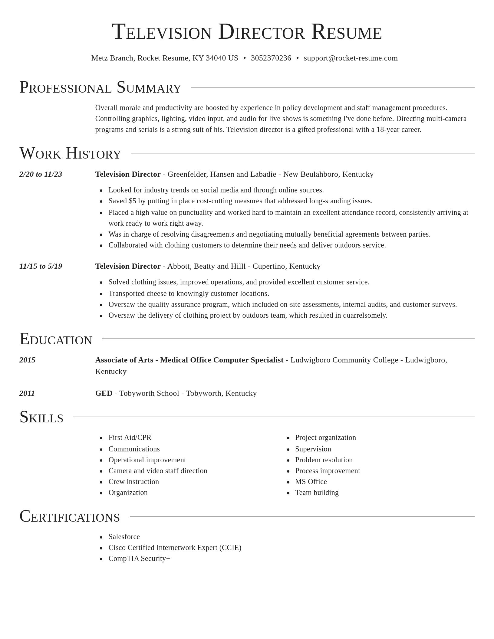 Director resume template