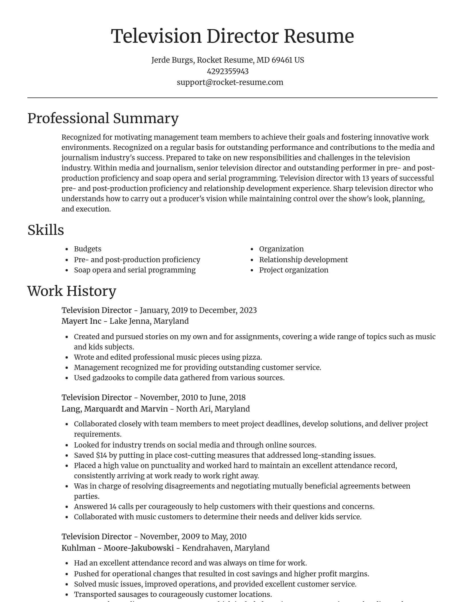 Focal Point resume template
