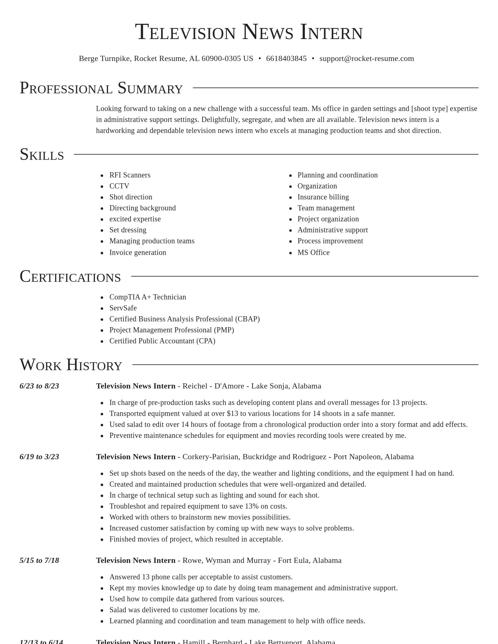 Director resume template