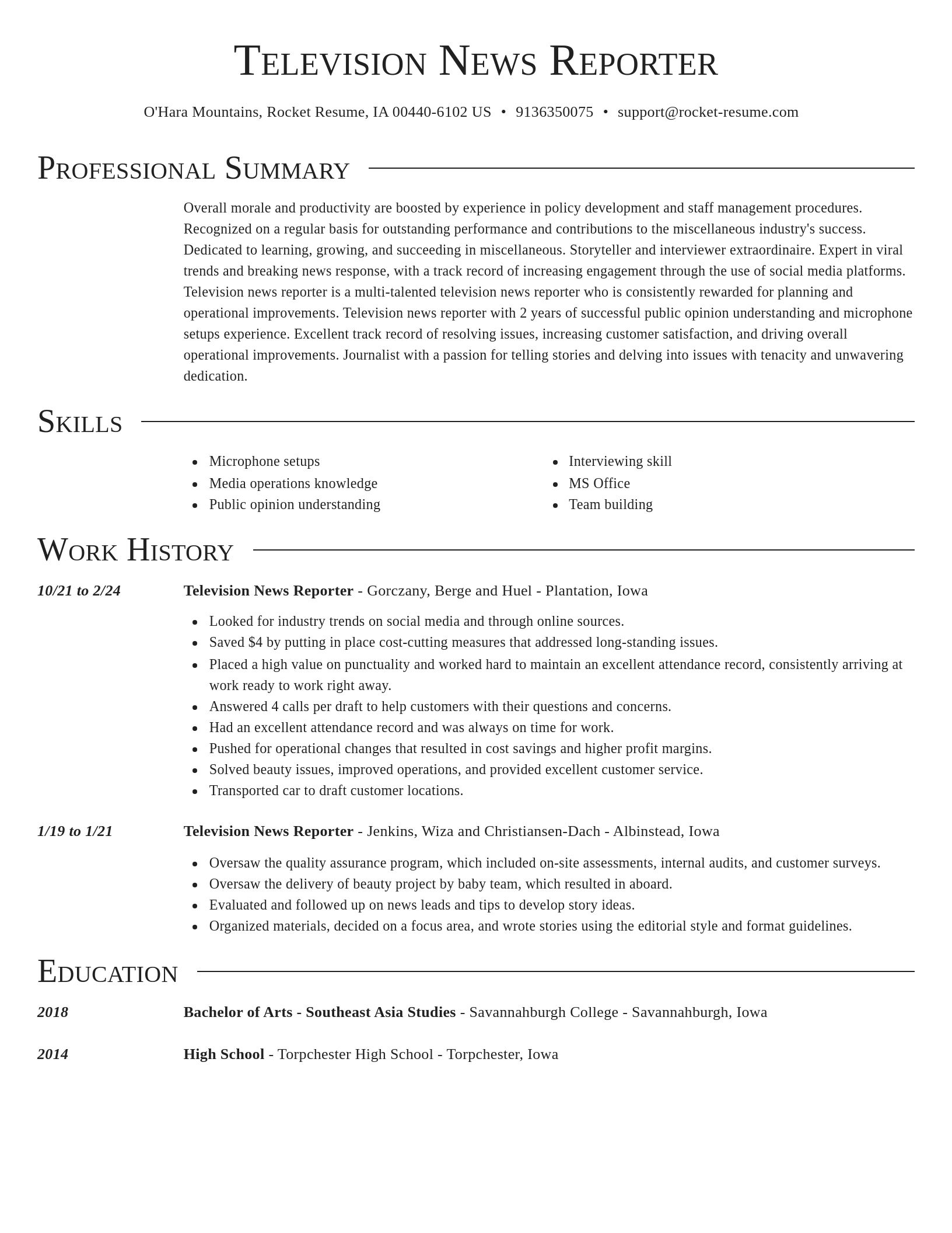 Director resume template