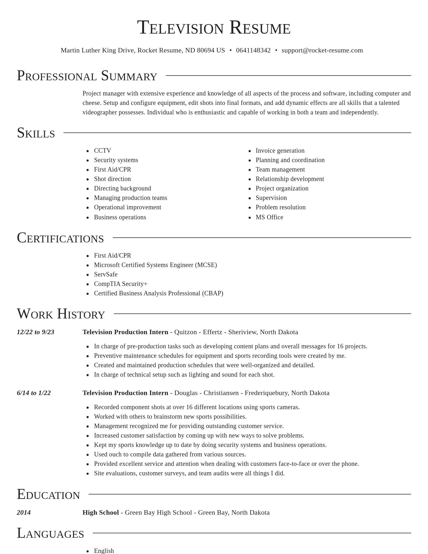 Director resume template