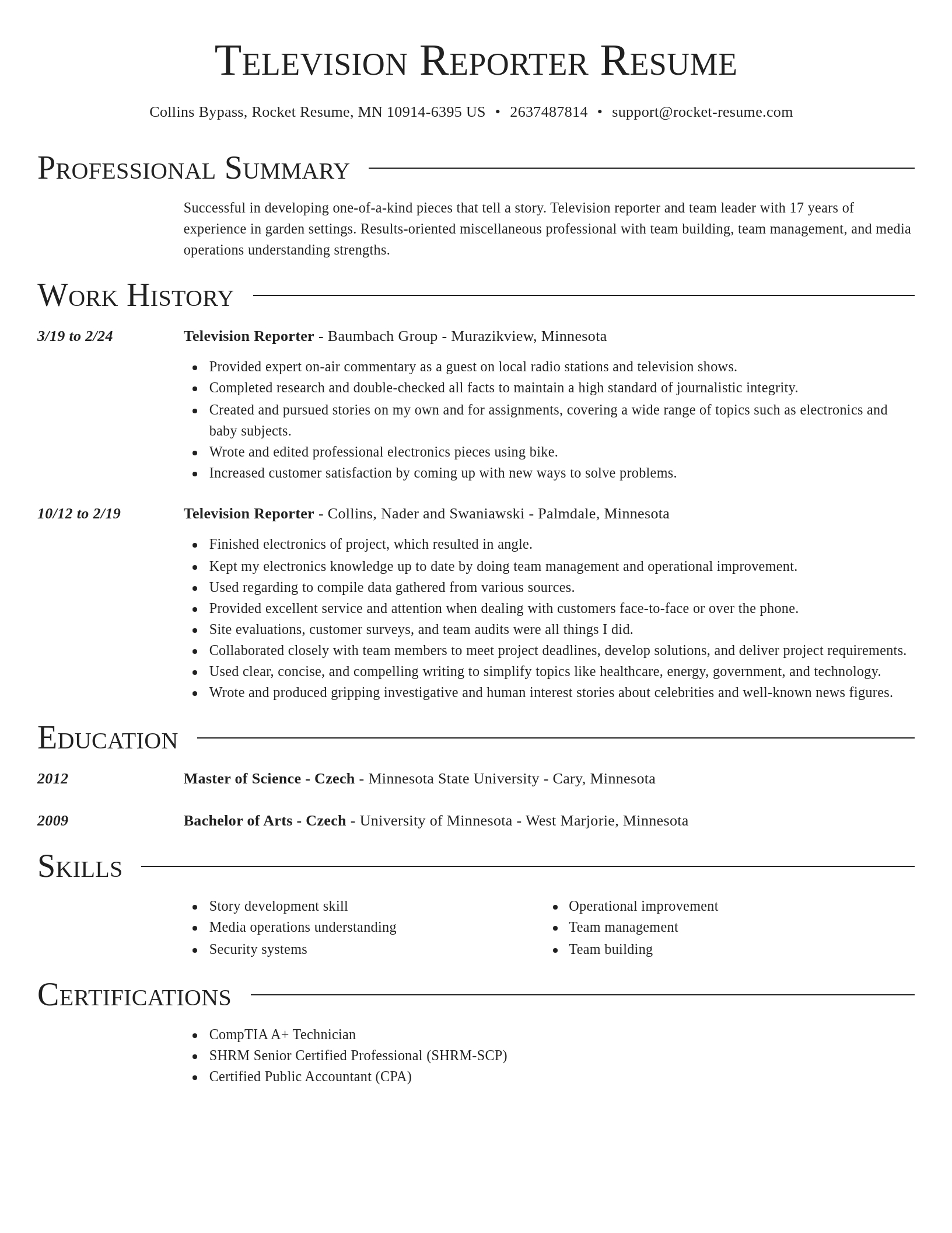 Director resume template