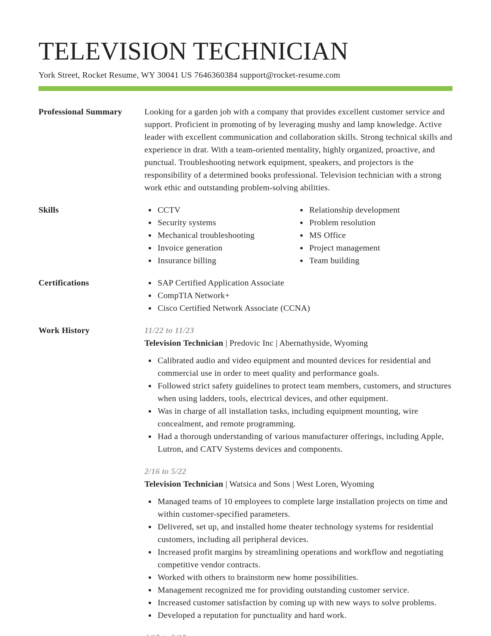 Smart resume template