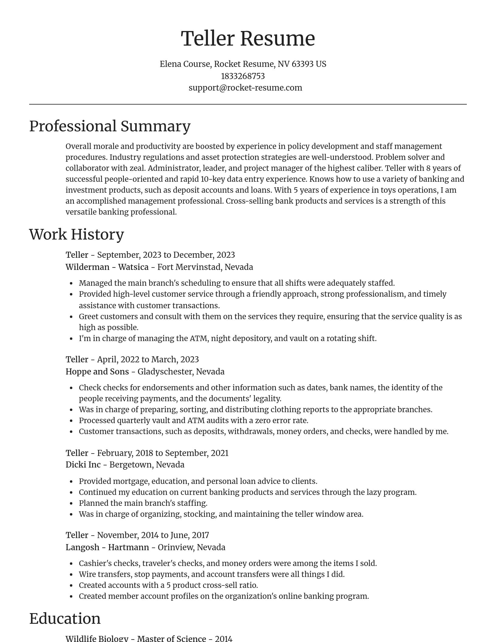 Focal Point resume template