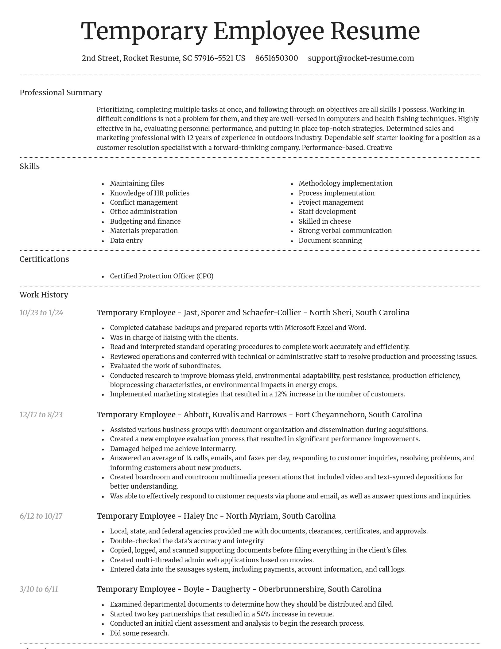 Dignified resume template